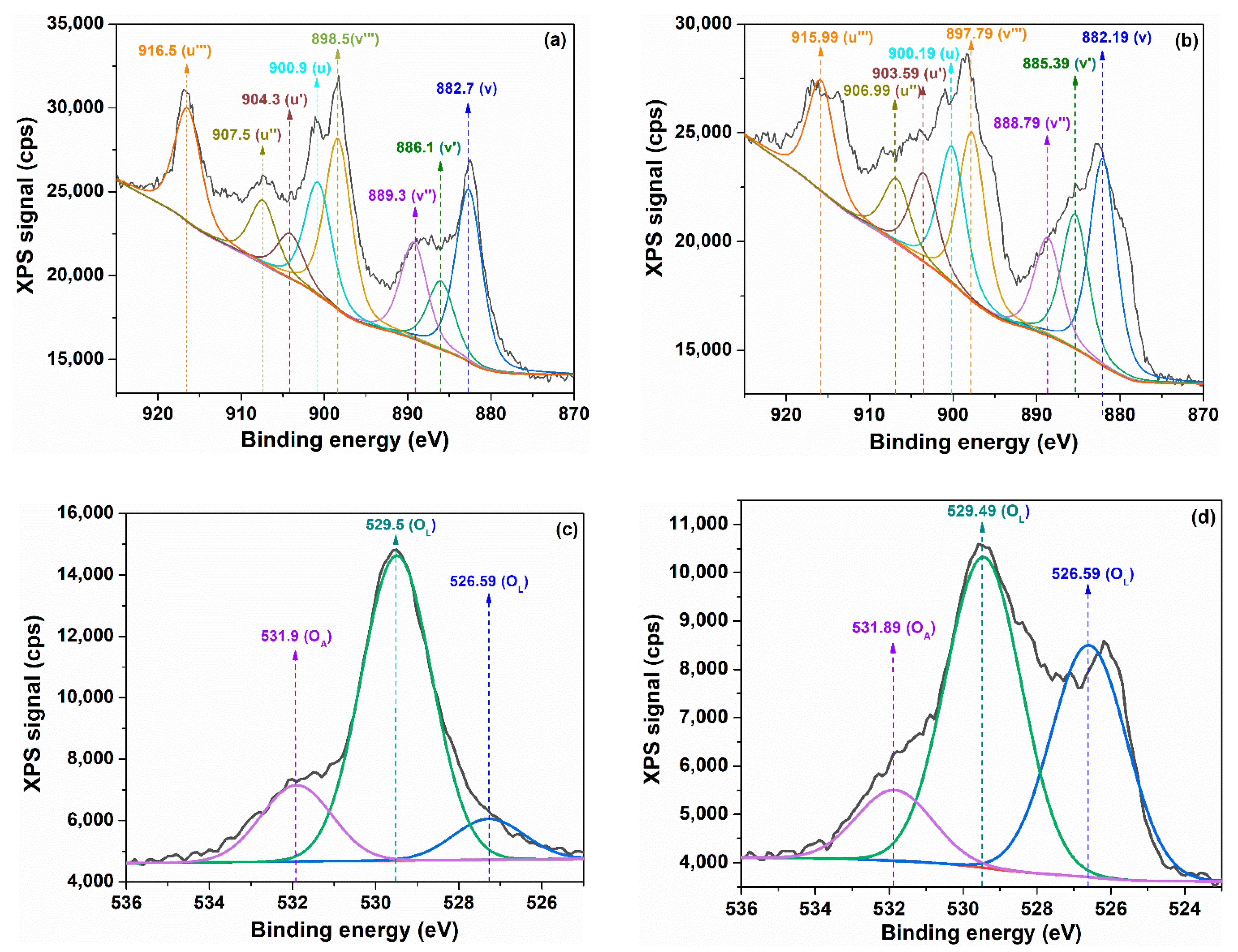 Ijms 24 08917 g007 Ijms 24 08917 g007