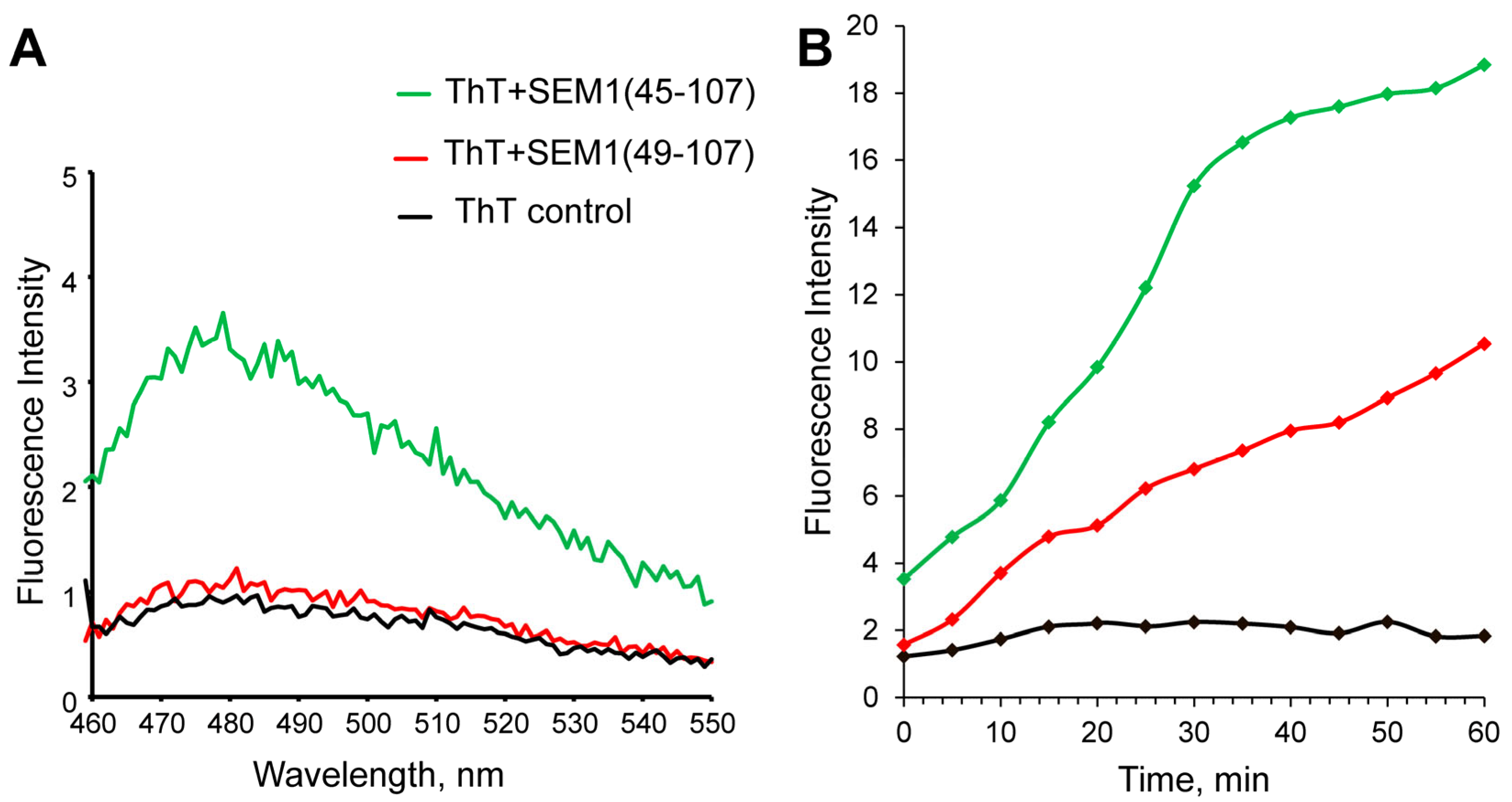 Ijms 24 08949 g002 Ijms 24 08949 g002