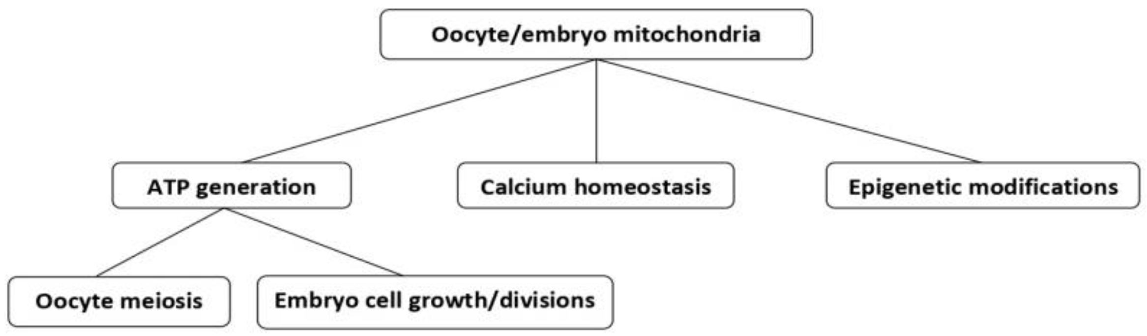 Ijms 24 08950 g002 Ijms 24 08950 g002