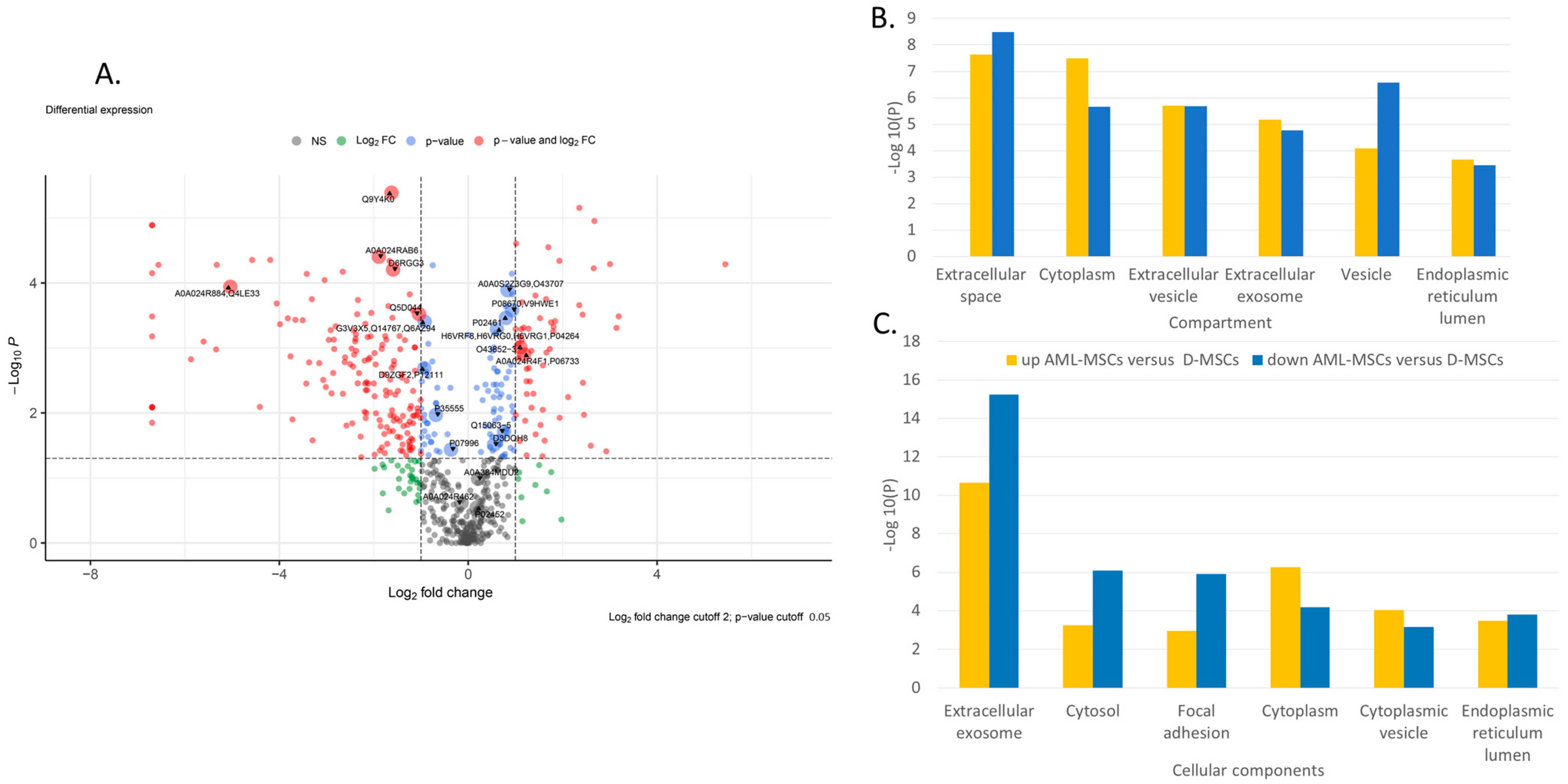 Ijms 24 08953 g002 Ijms 24 08953 g002