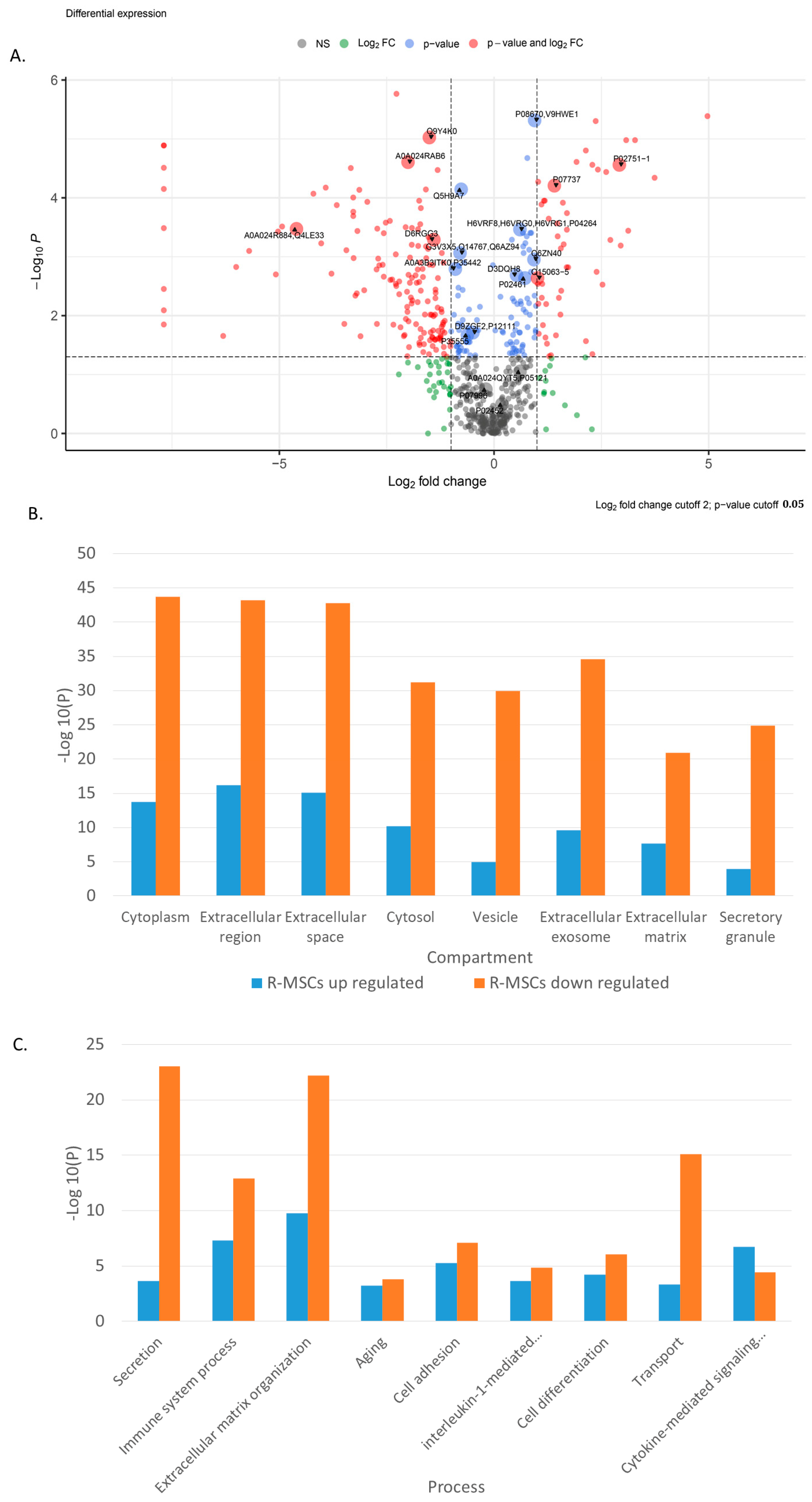 Ijms 24 08953 g003 Ijms 24 08953 g003