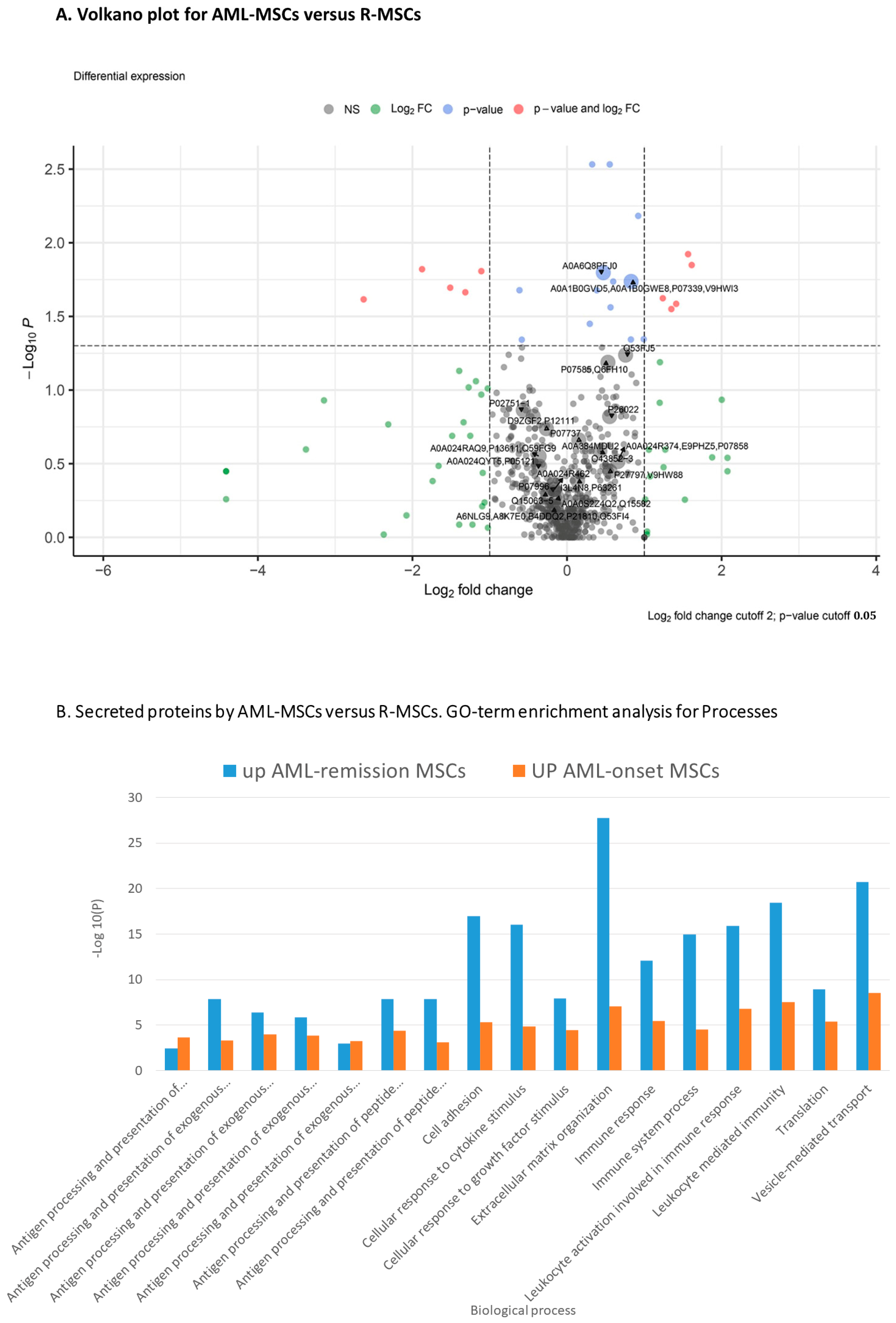 Ijms 24 08953 g004 Ijms 24 08953 g004