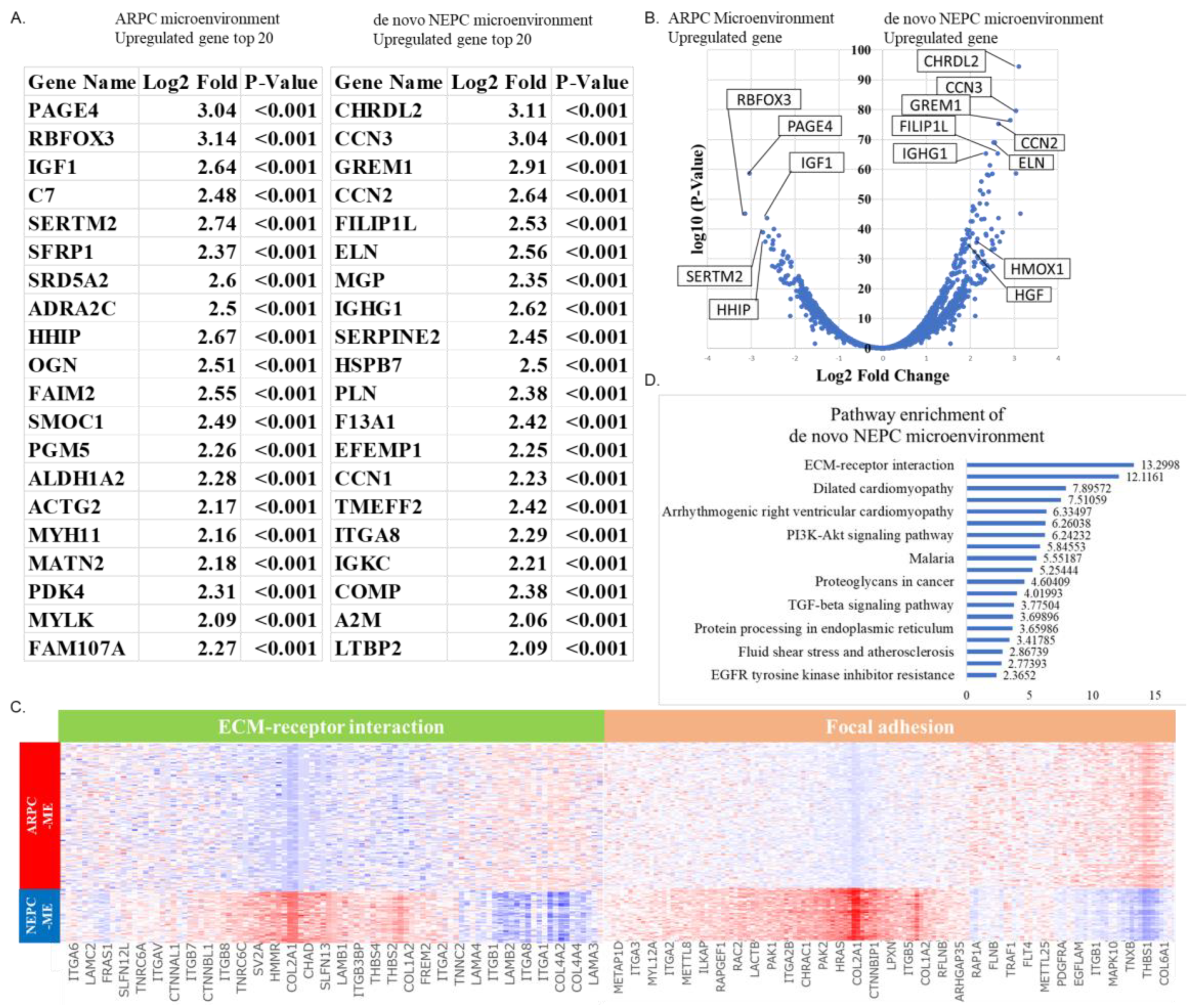 Ijms 24 08955 g004 Ijms 24 08955 g004