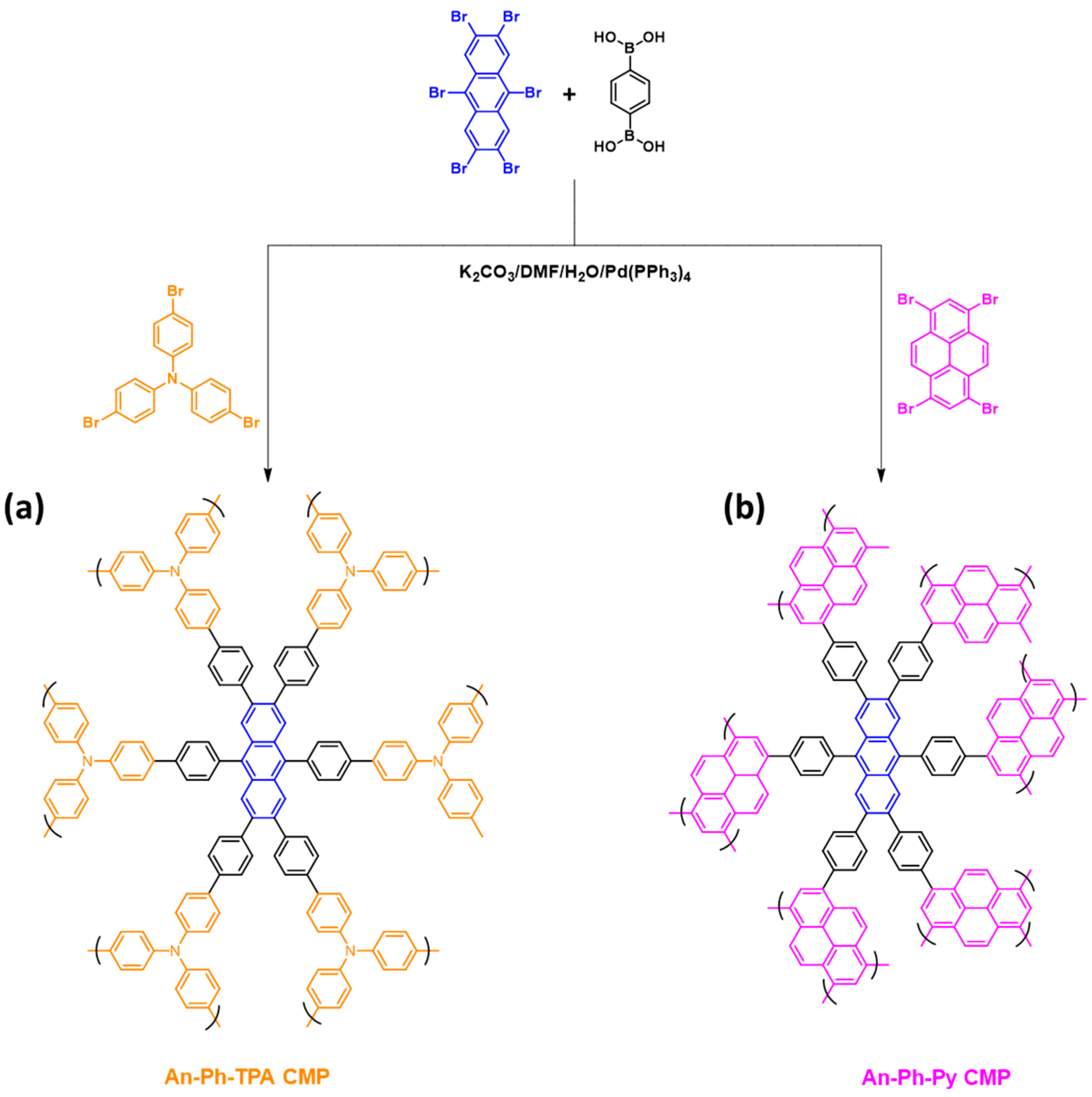 Ijms 24 08966 g001 Ijms 24 08966 g001