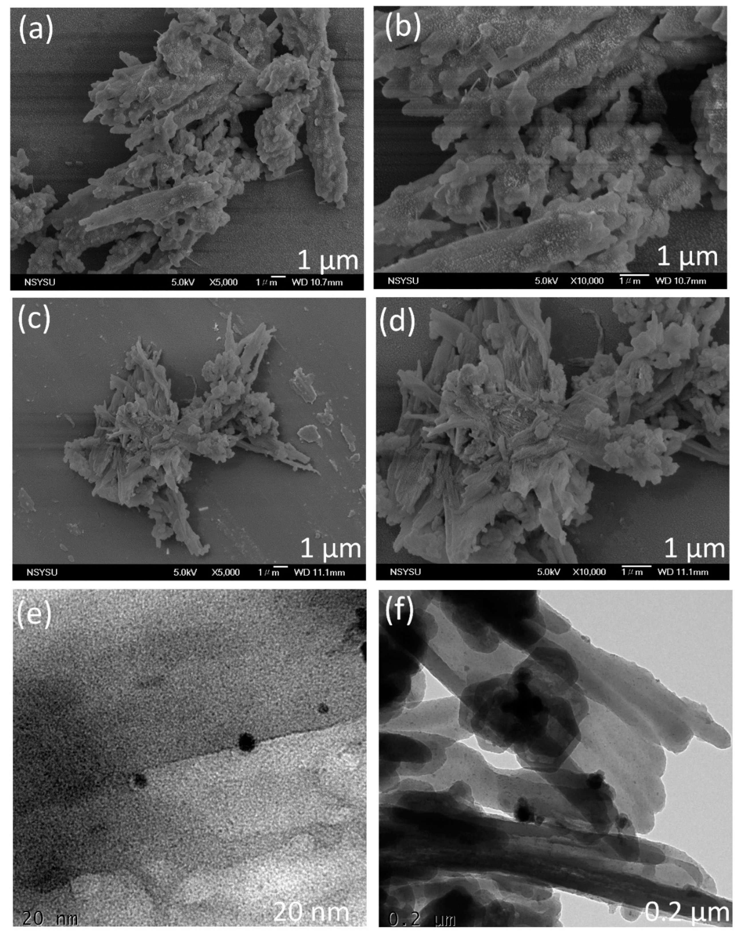 Ijms 24 08966 g004 Ijms 24 08966 g004