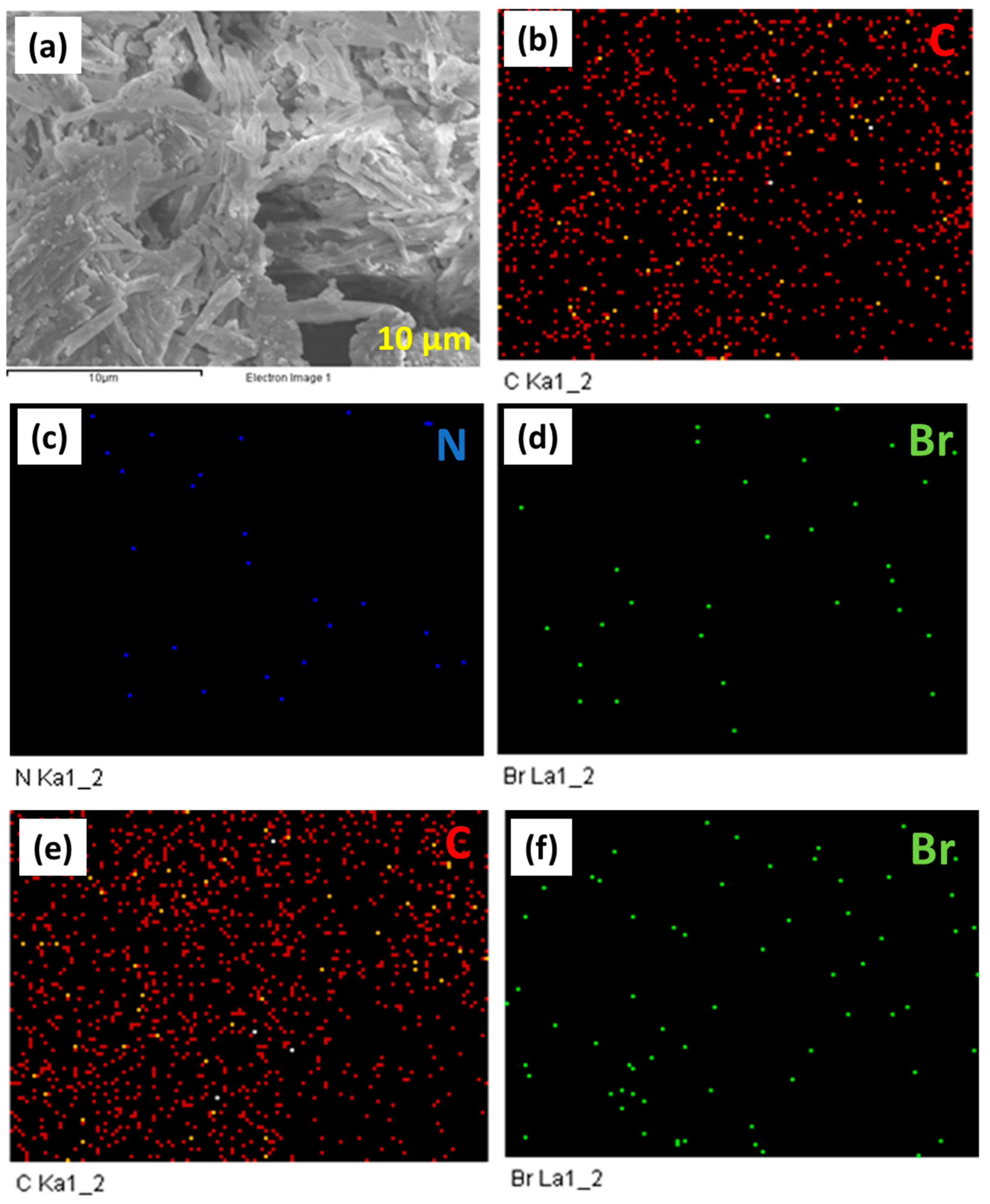 Ijms 24 08966 g005 Ijms 24 08966 g005