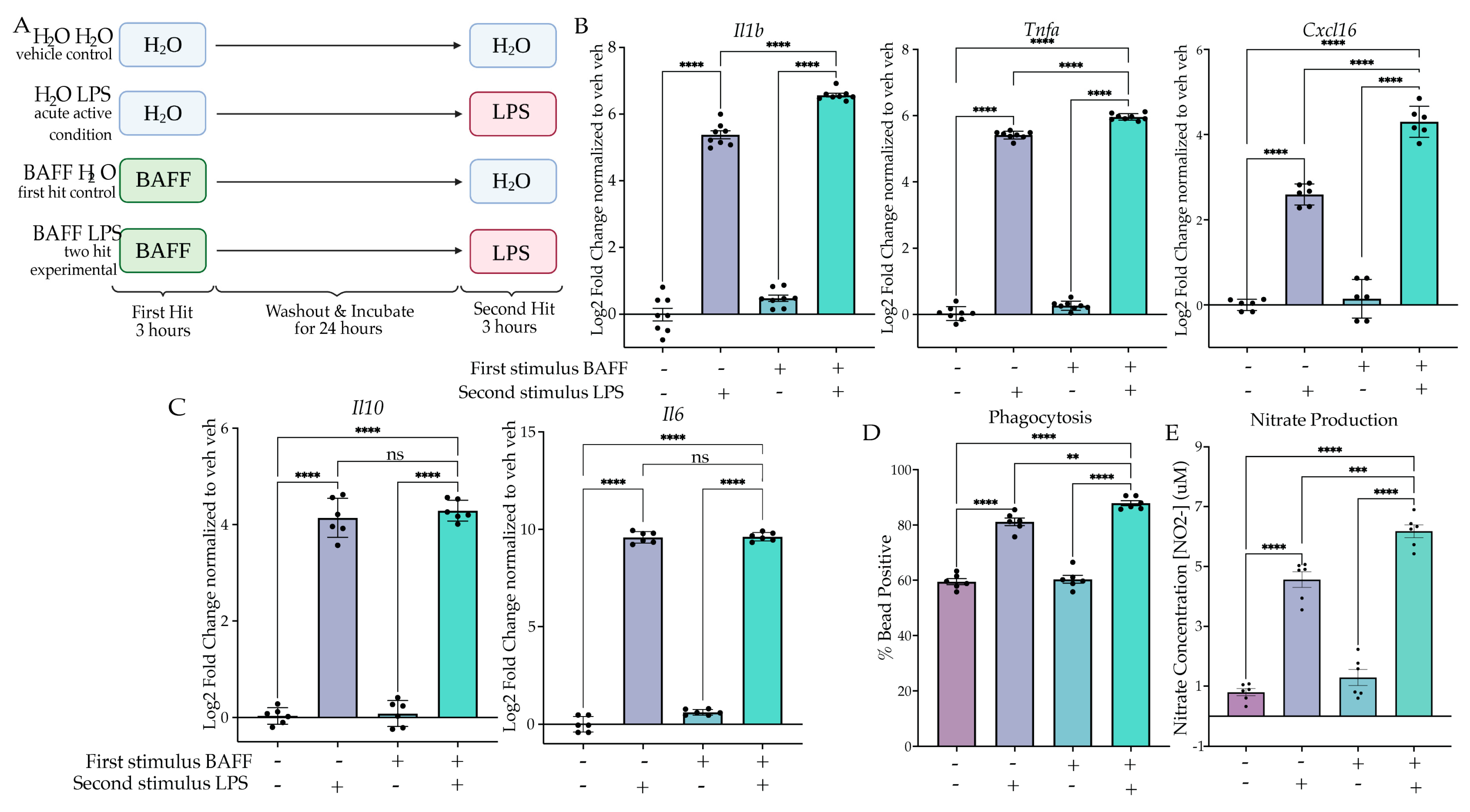 Ijms 24 08967 g002 Ijms 24 08967 g002