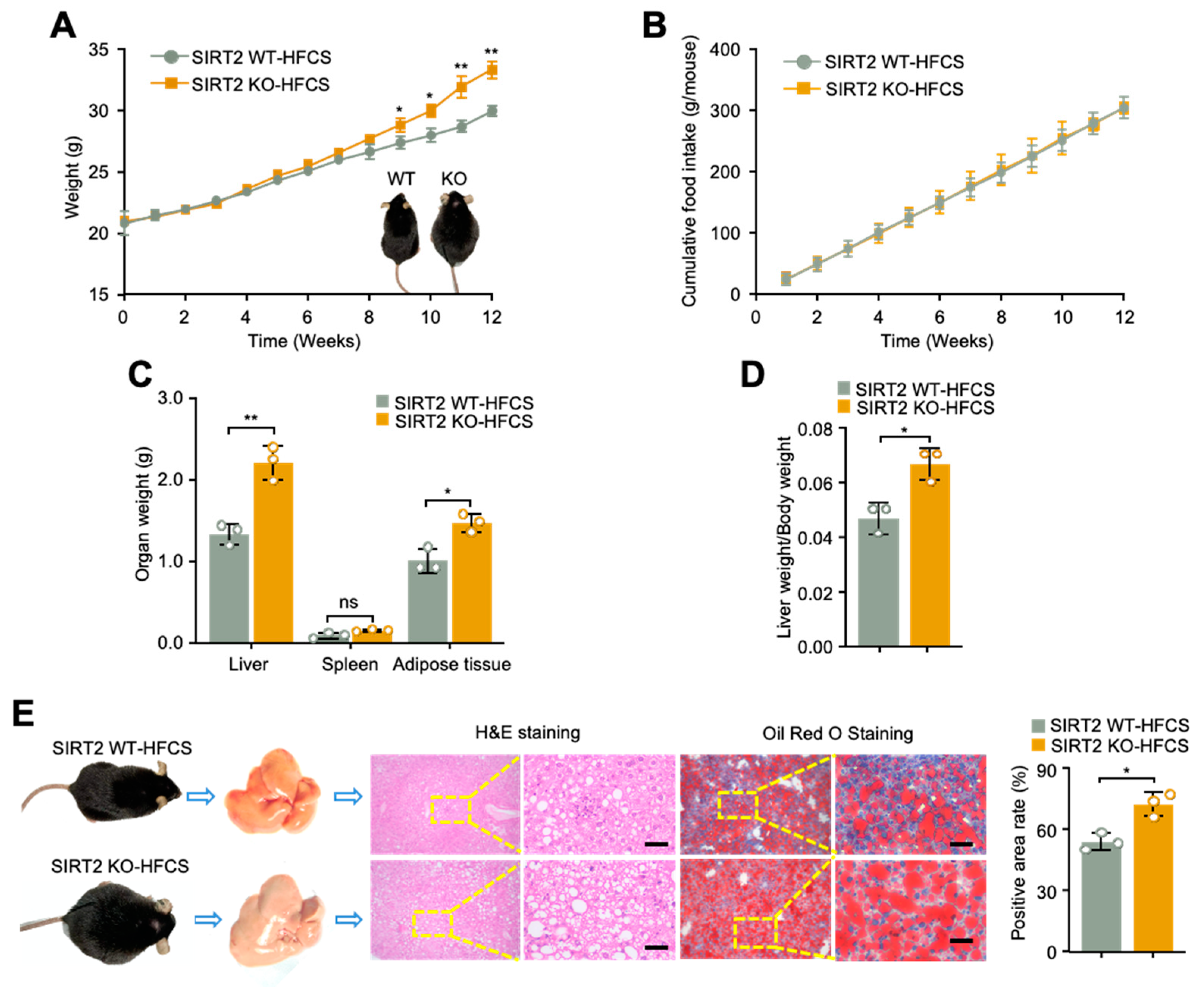 Ijms 24 08970 g002 Ijms 24 08970 g002
