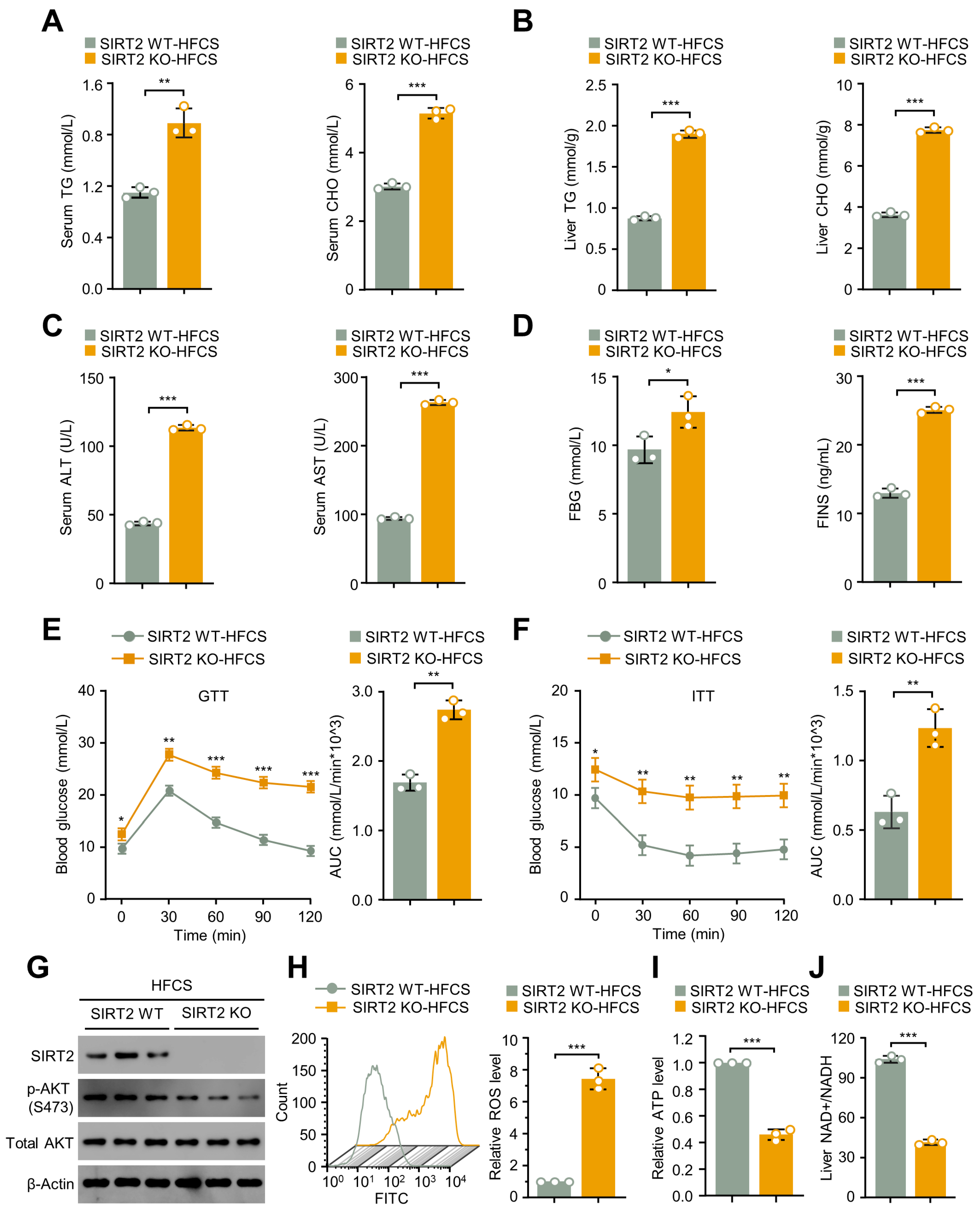 Ijms 24 08970 g003 Ijms 24 08970 g003