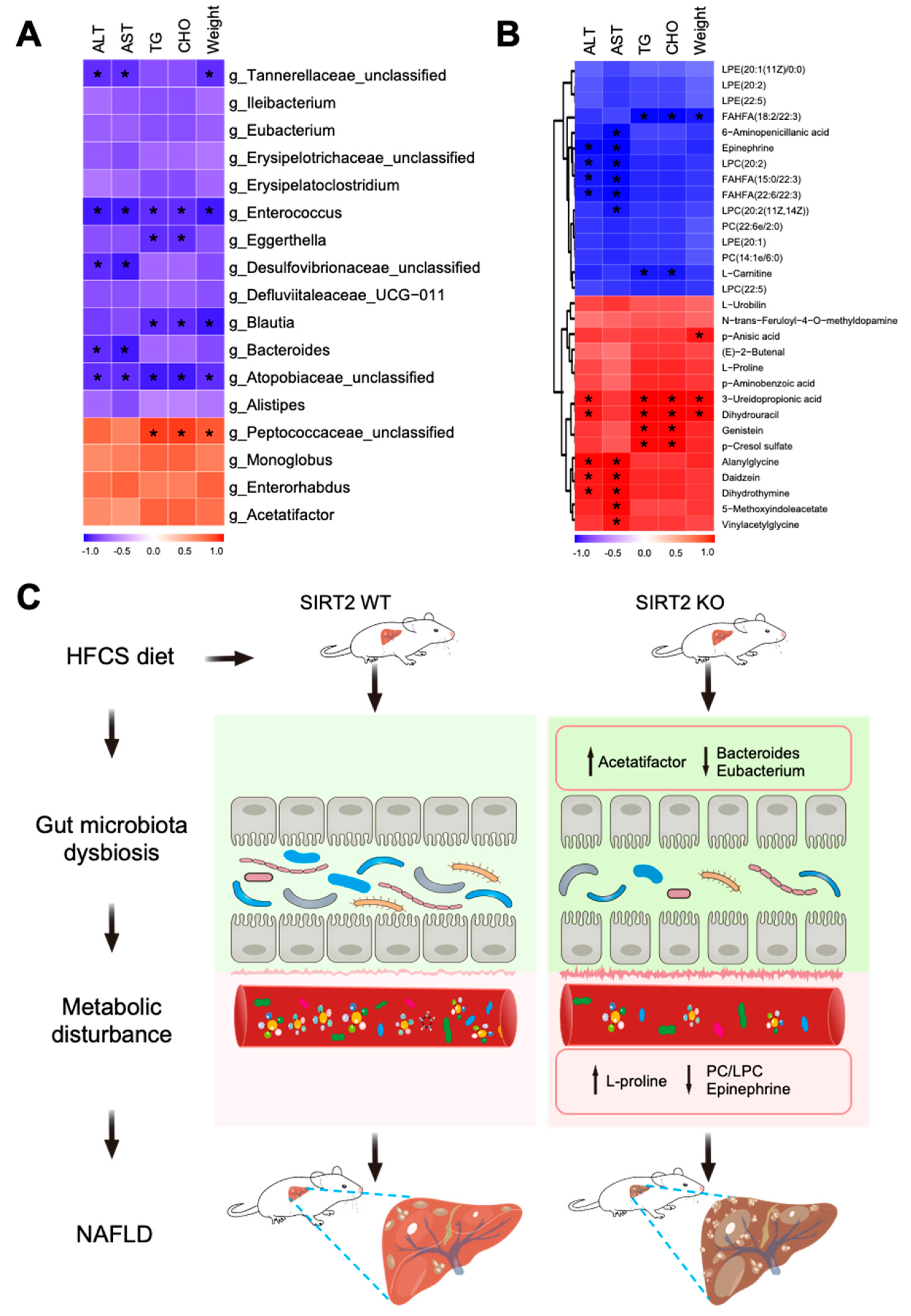 Ijms 24 08970 g009 Ijms 24 08970 g009