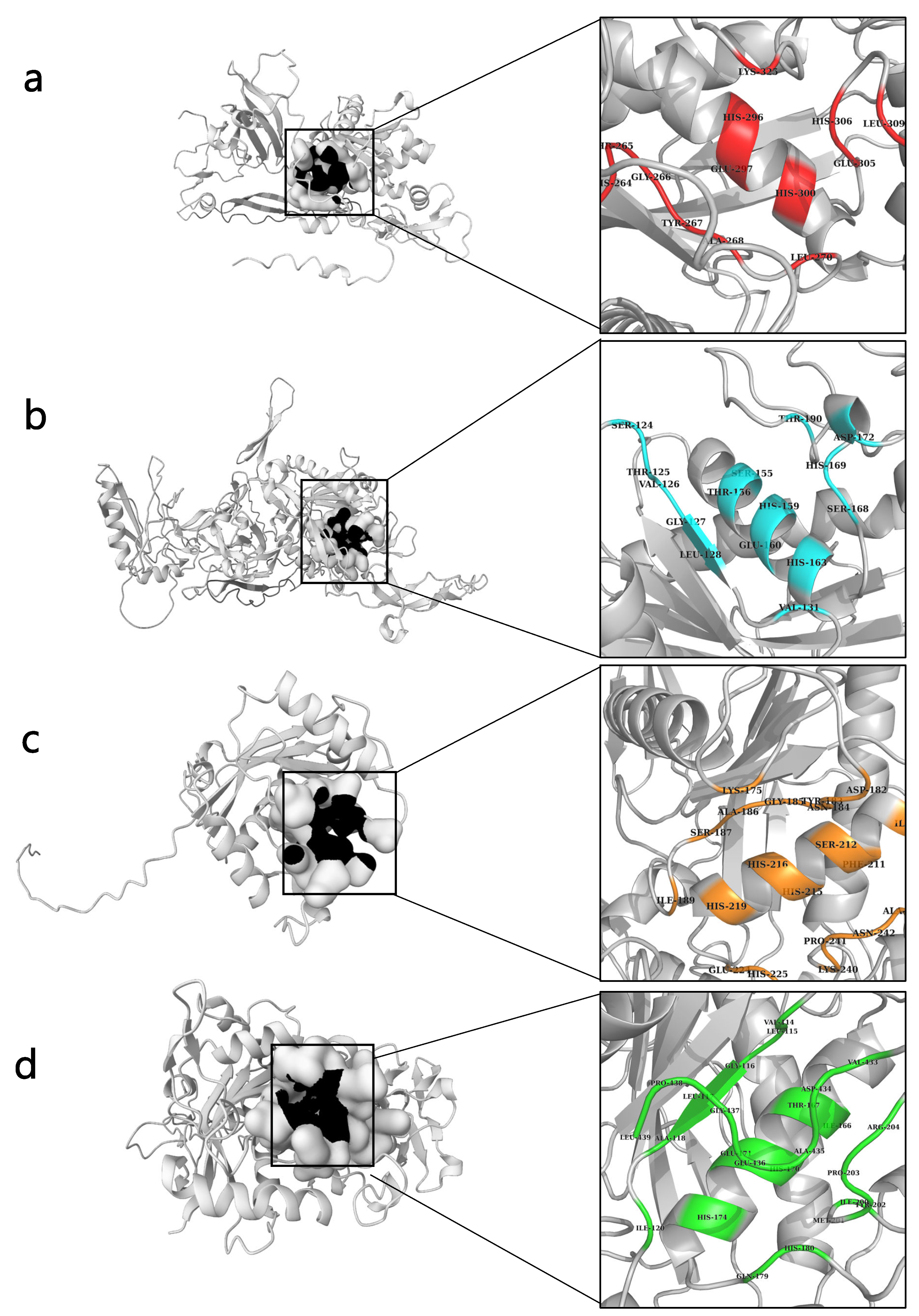 Ijms 24 08972 g002 Ijms 24 08972 g002