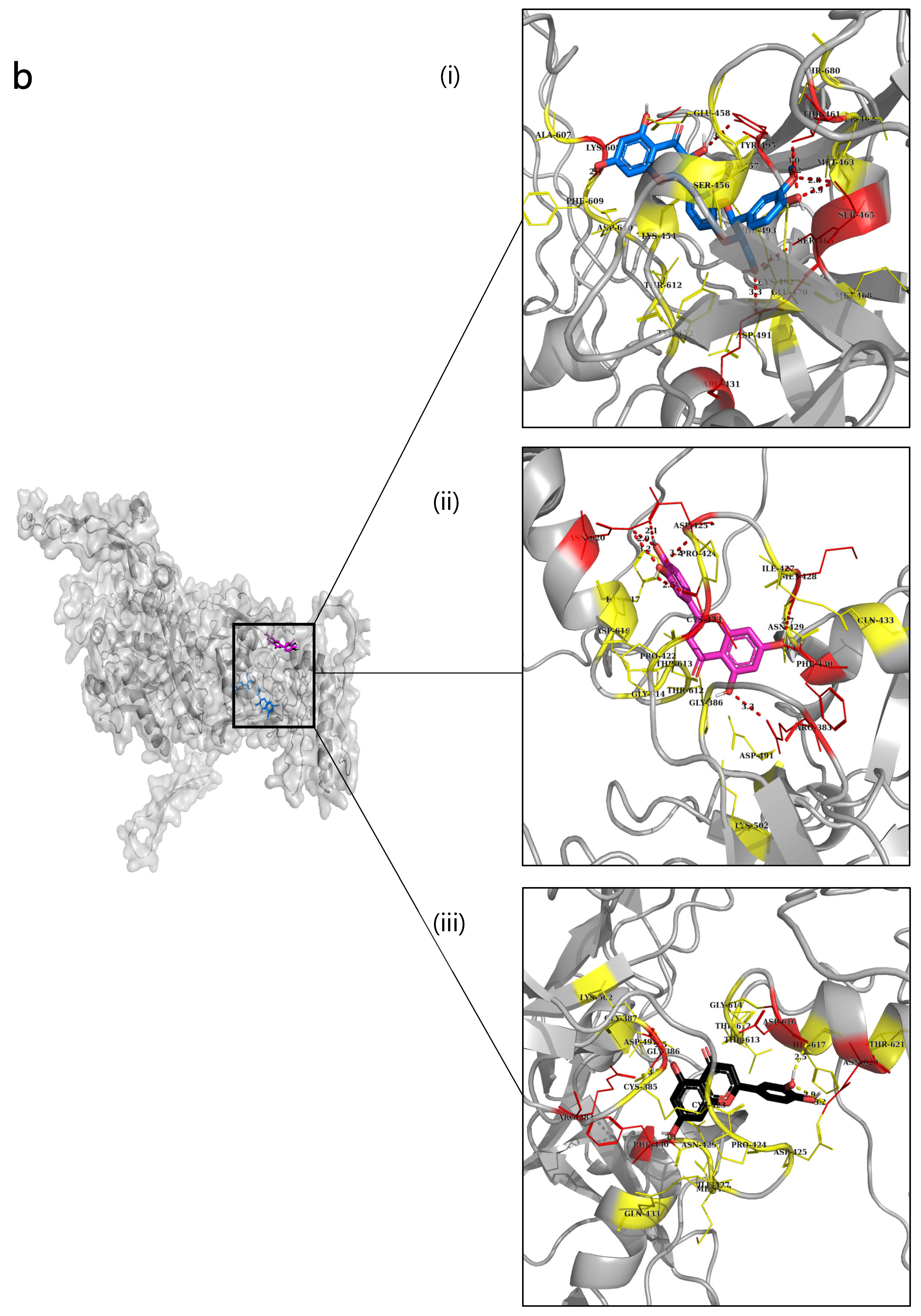Ijms 24 08972 g003b Ijms 24 08972 g003b