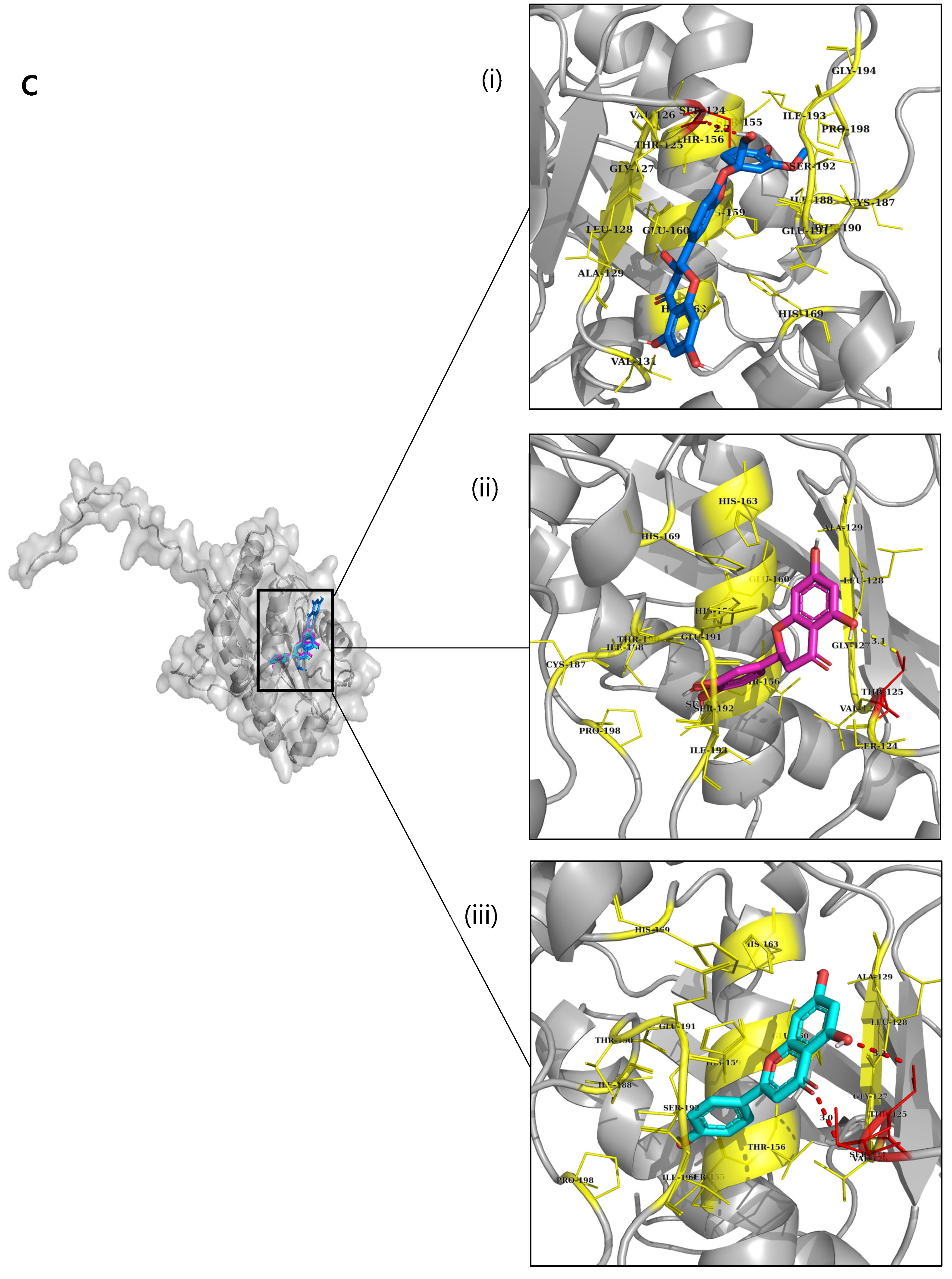 Ijms 24 08972 g003c Ijms 24 08972 g003c