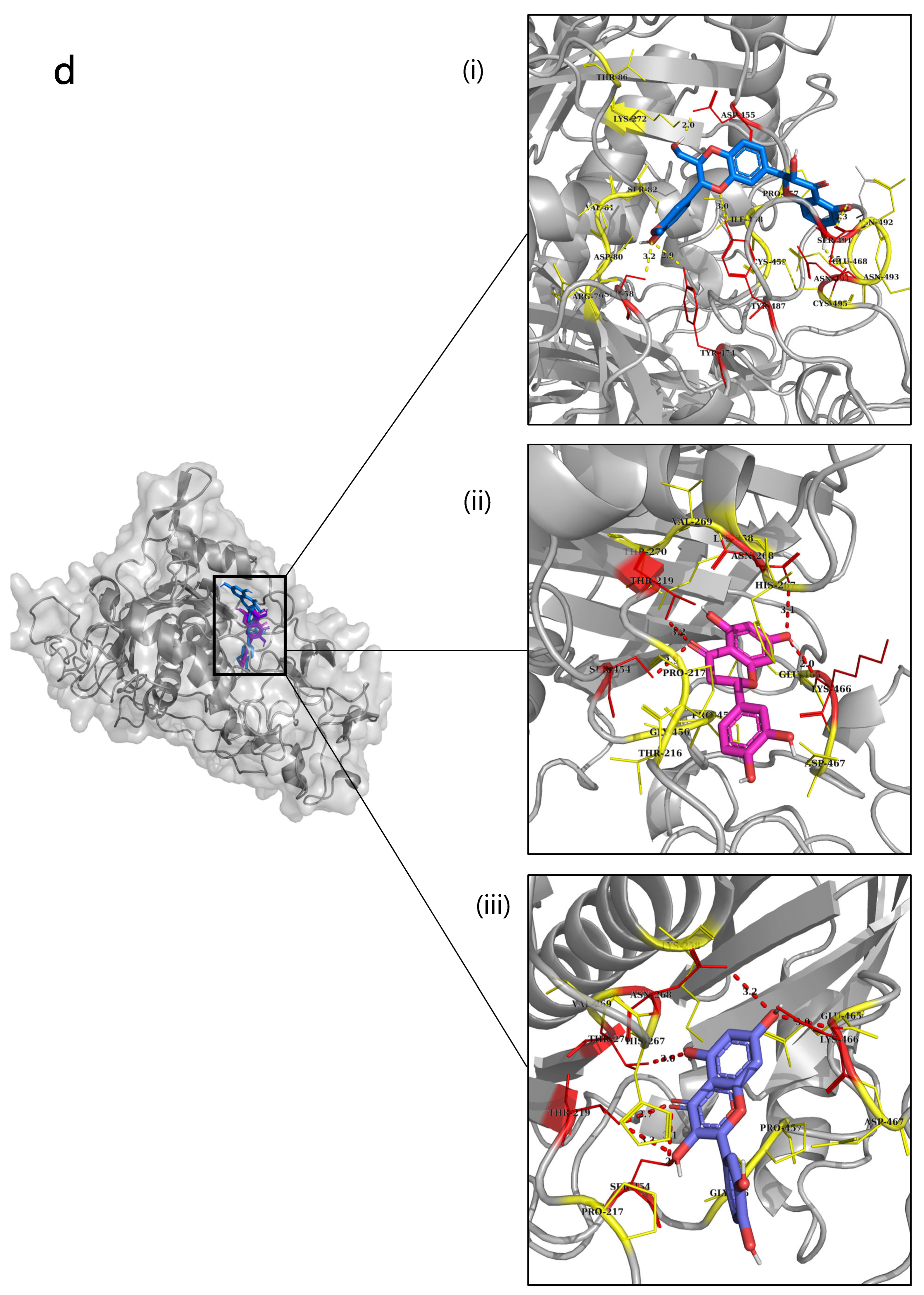 Ijms 24 08972 g003d Ijms 24 08972 g003d