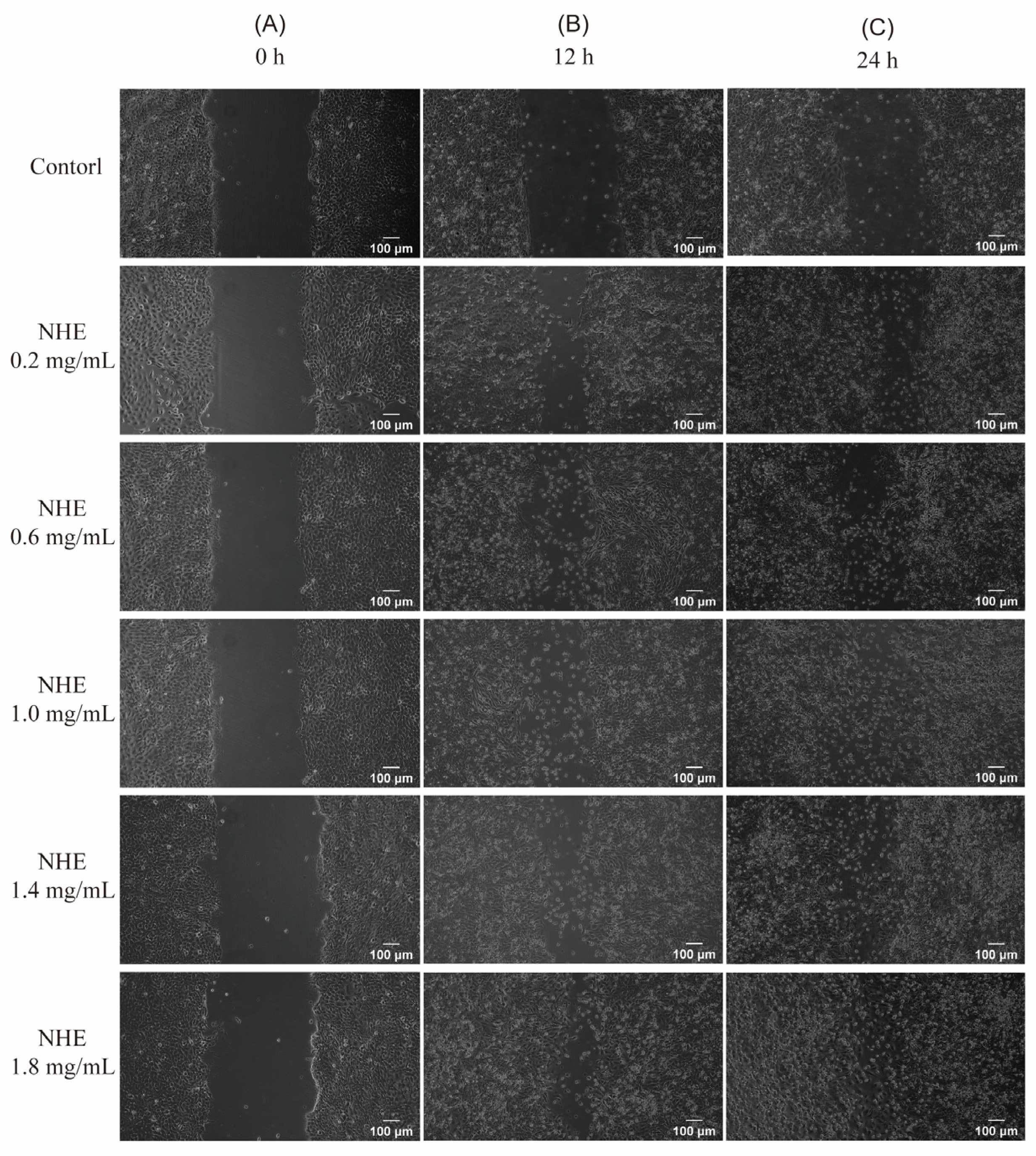 Ijms 24 08974 g012 Ijms 24 08974 g012