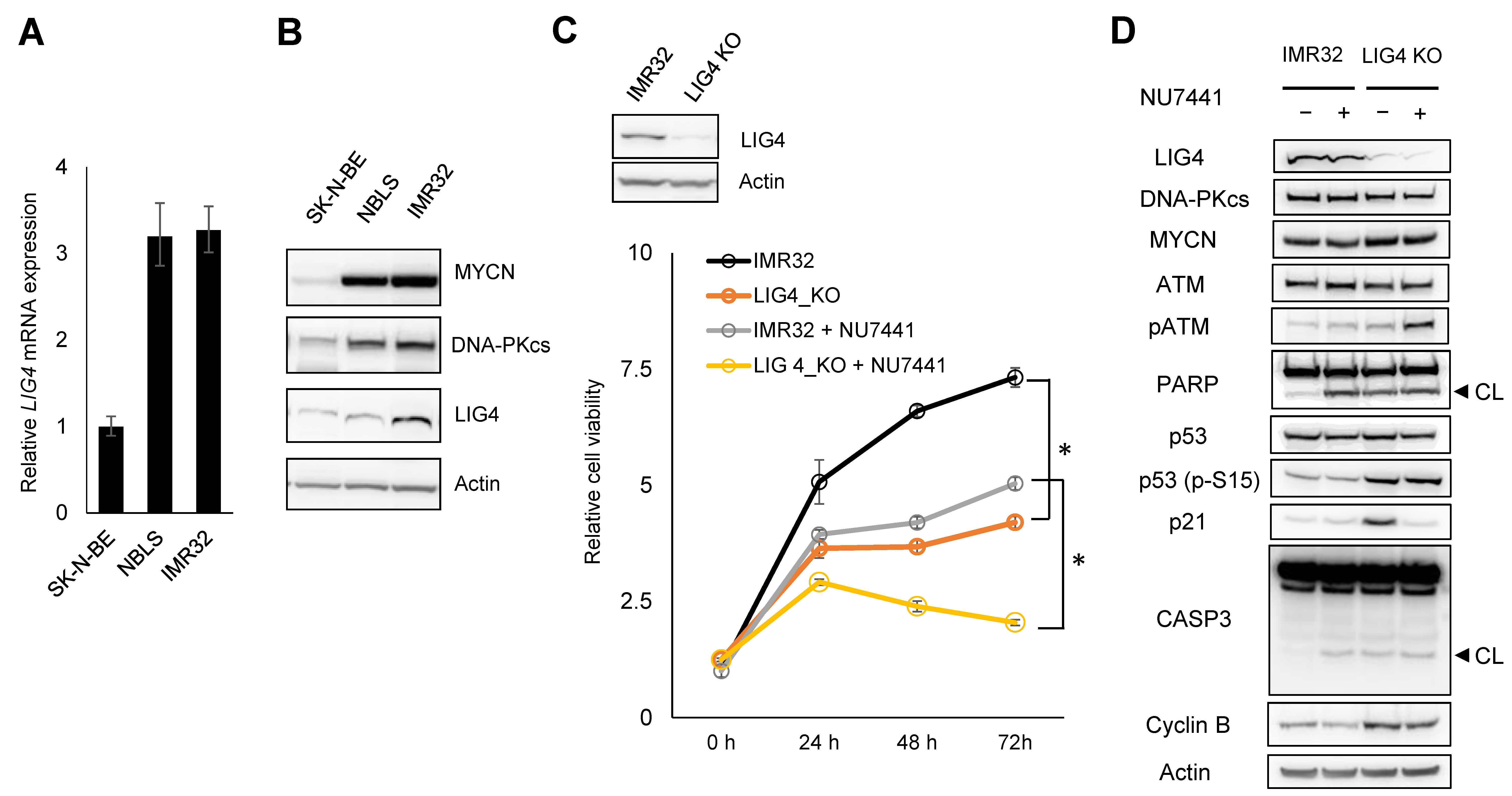 Ijms 24 09012 g003 Ijms 24 09012 g003