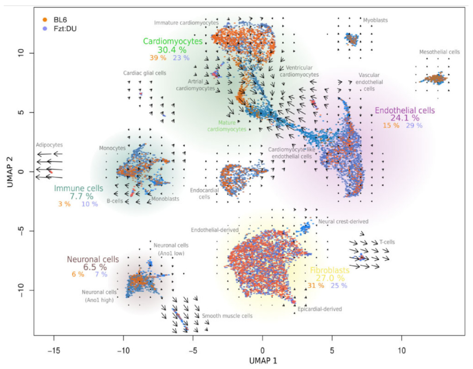 Ijms 24 09017 g003 Ijms 24 09017 g003