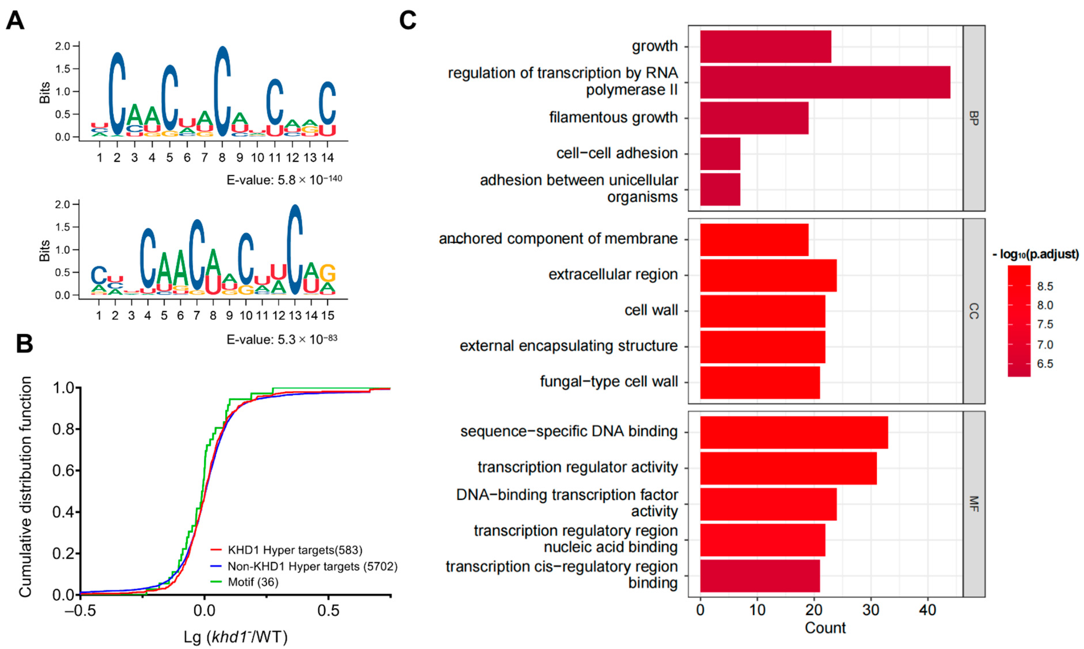 Ijms 24 09033 g003 Ijms 24 09033 g003