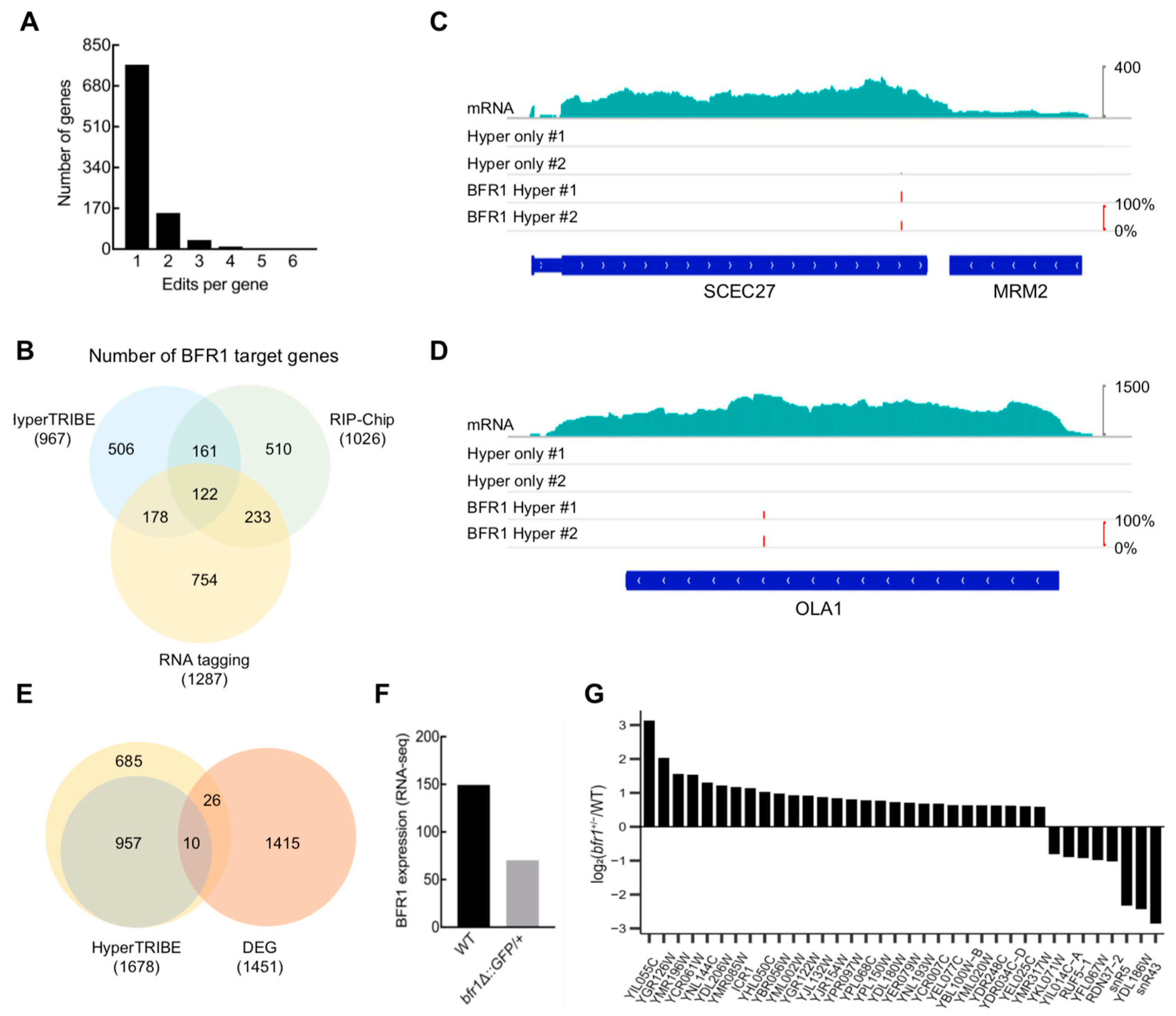 Ijms 24 09033 g005 Ijms 24 09033 g005