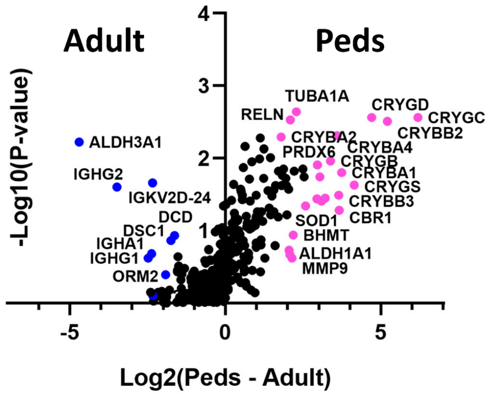 Ijms 24 09040 g001 Ijms 24 09040 g001