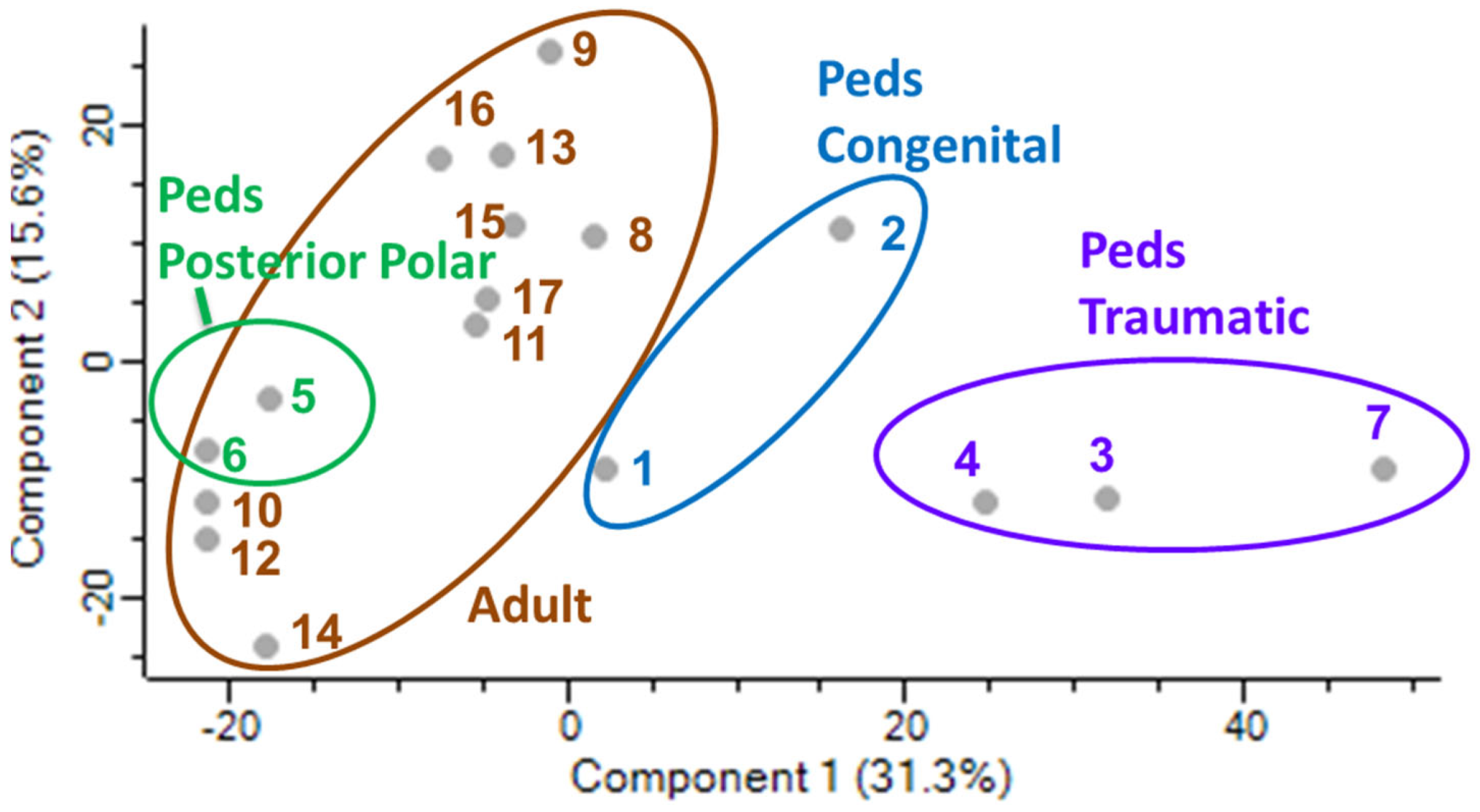 Ijms 24 09040 g002 Ijms 24 09040 g002