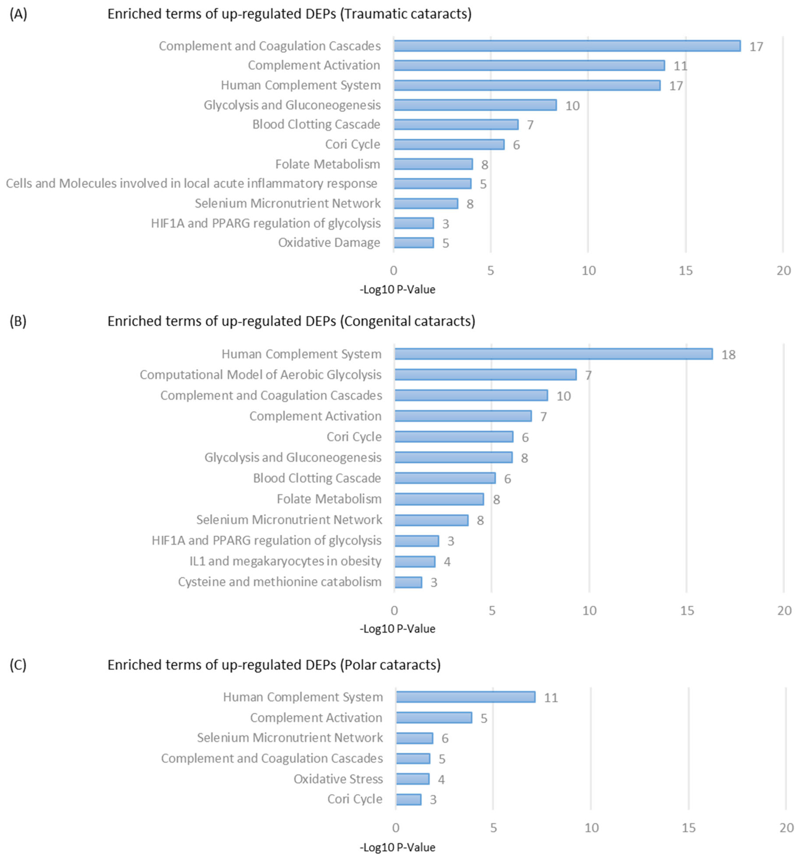 Ijms 24 09040 g004 Ijms 24 09040 g004
