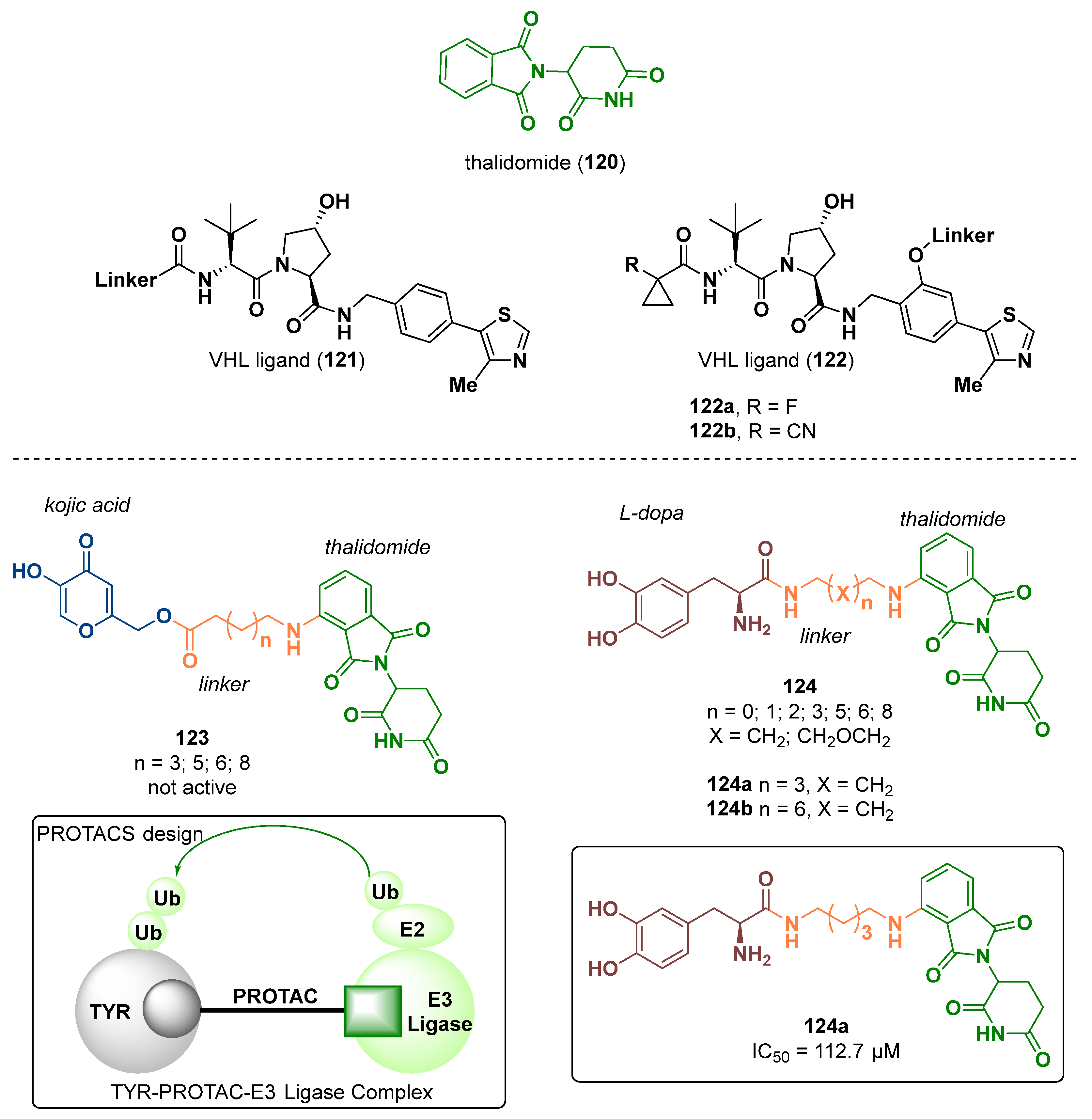 Ijms 24 09097 g073 Ijms 24 09097 g073