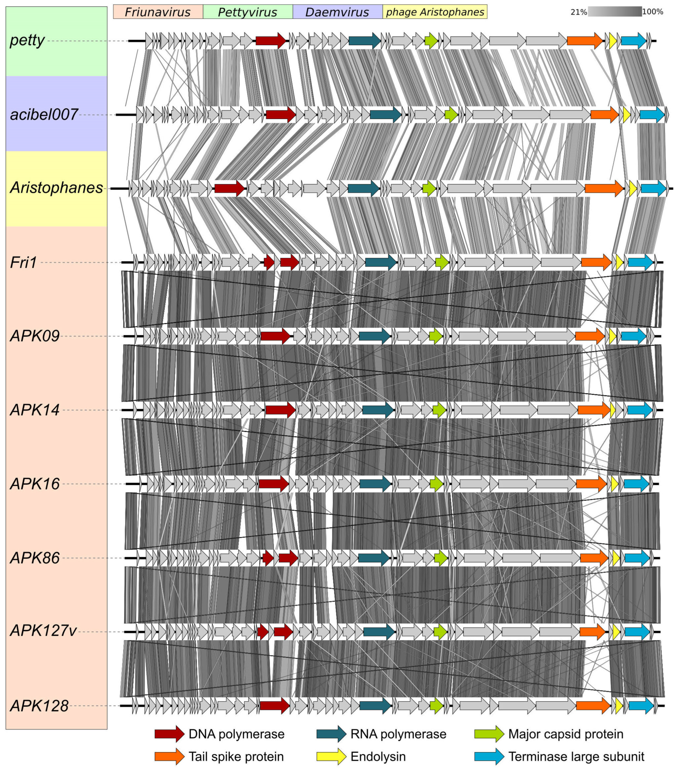 Ijms 24 09100 g001 Ijms 24 09100 g001