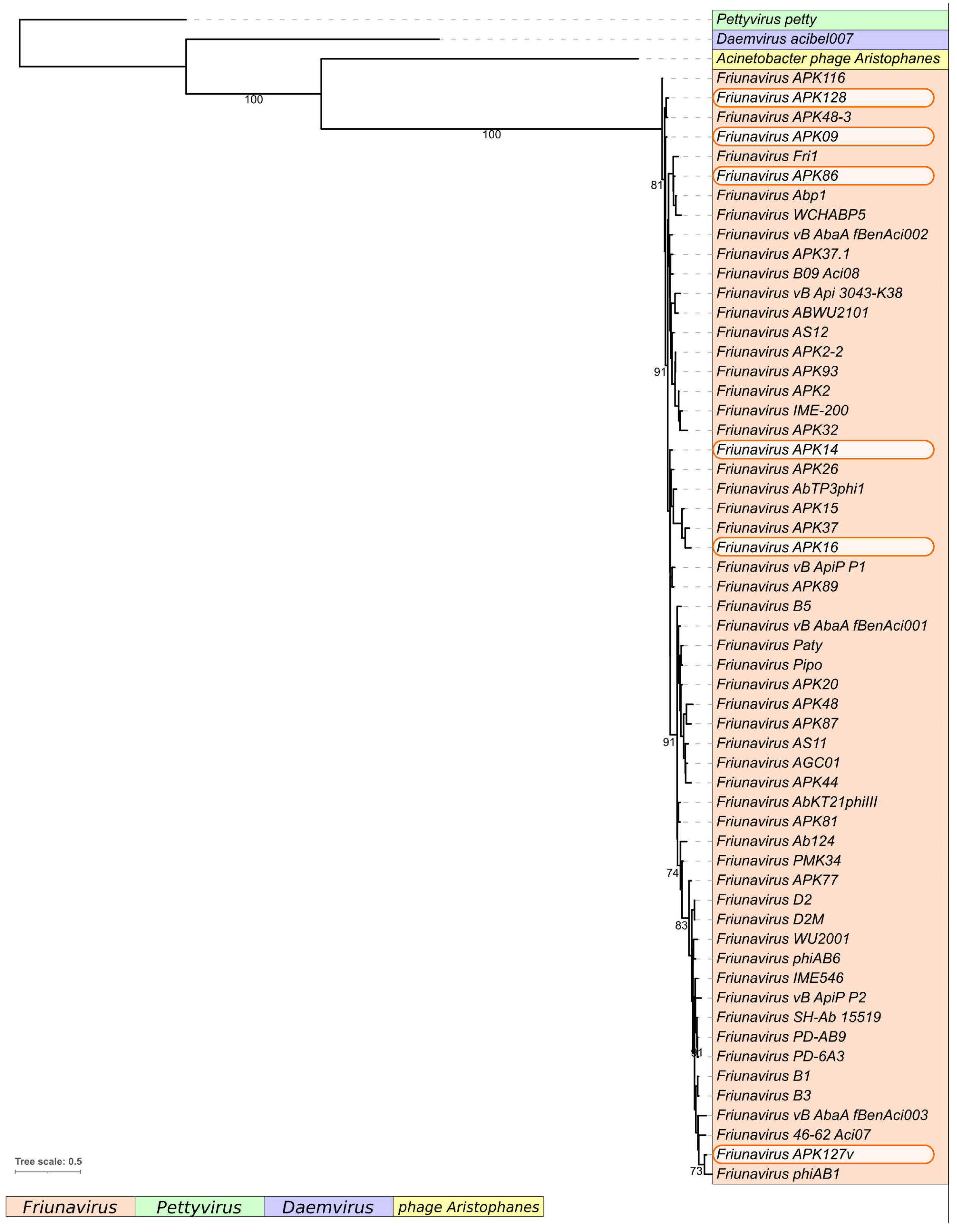 Ijms 24 09100 g002 Ijms 24 09100 g002