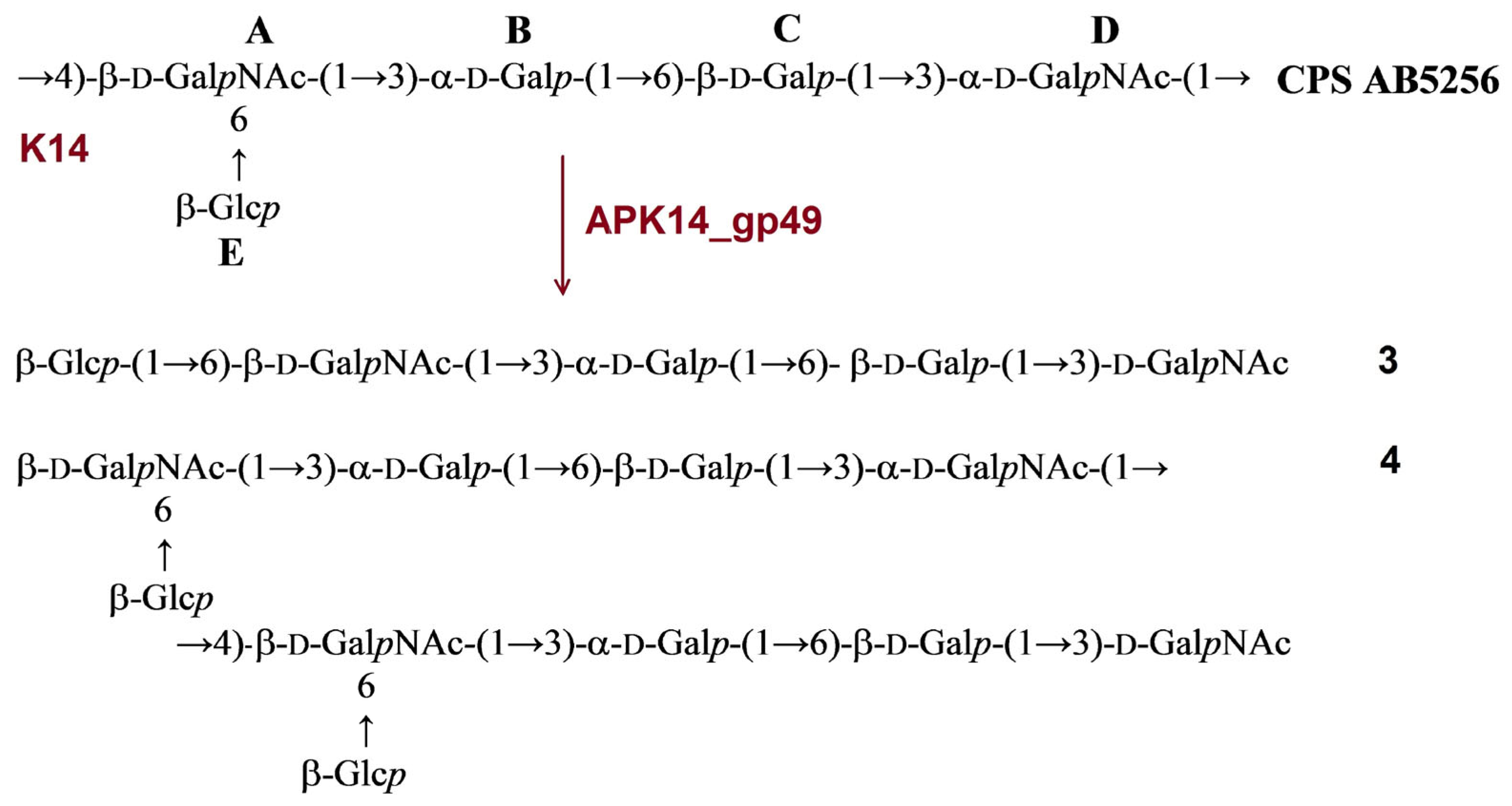 Ijms 24 09100 g005 Ijms 24 09100 g005