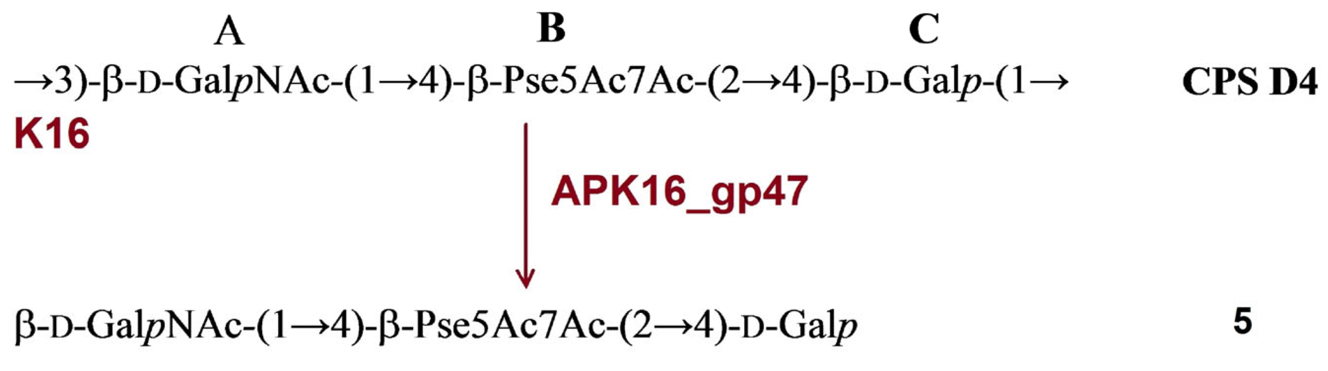 Ijms 24 09100 g006 Ijms 24 09100 g006