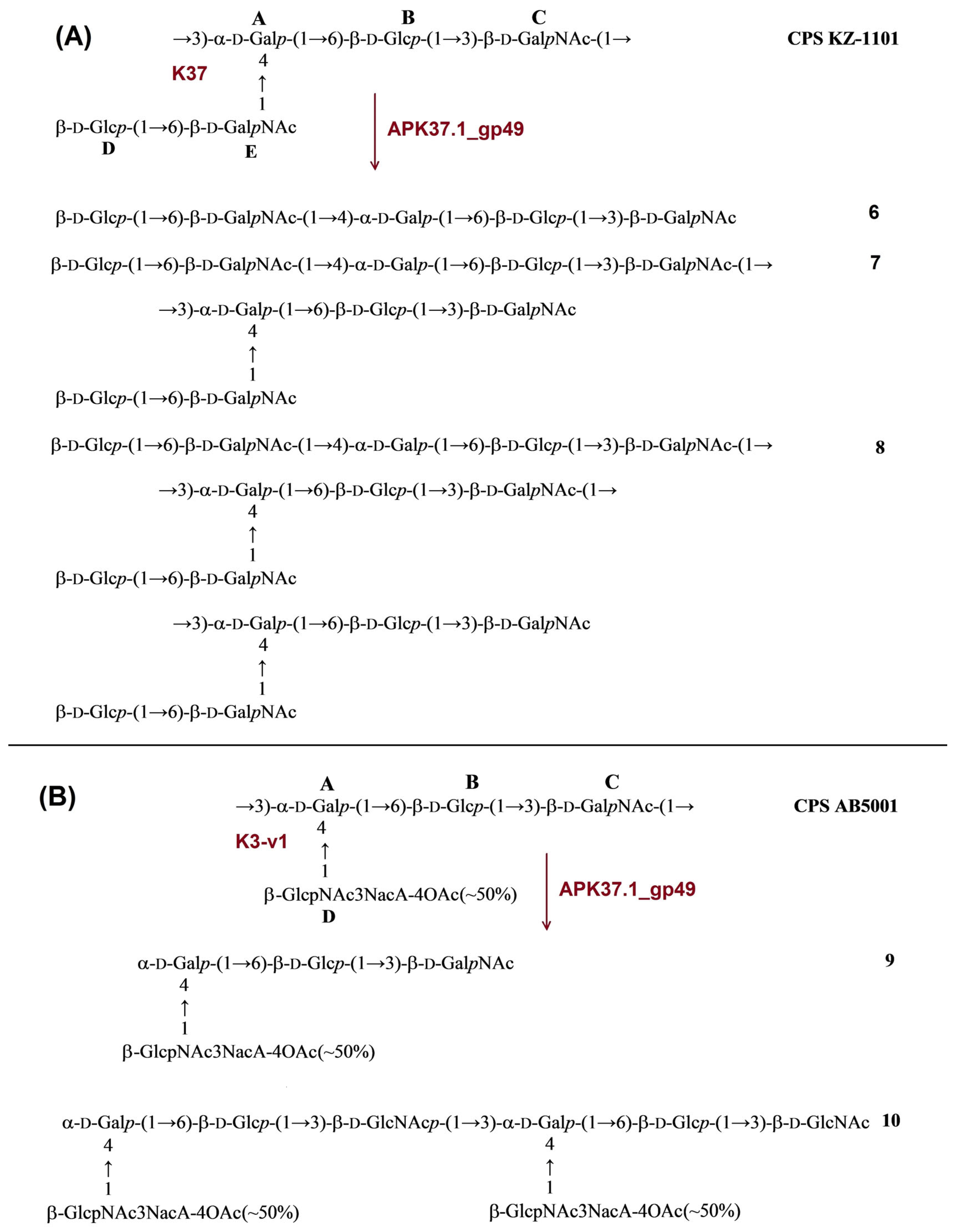 Ijms 24 09100 g007 Ijms 24 09100 g007