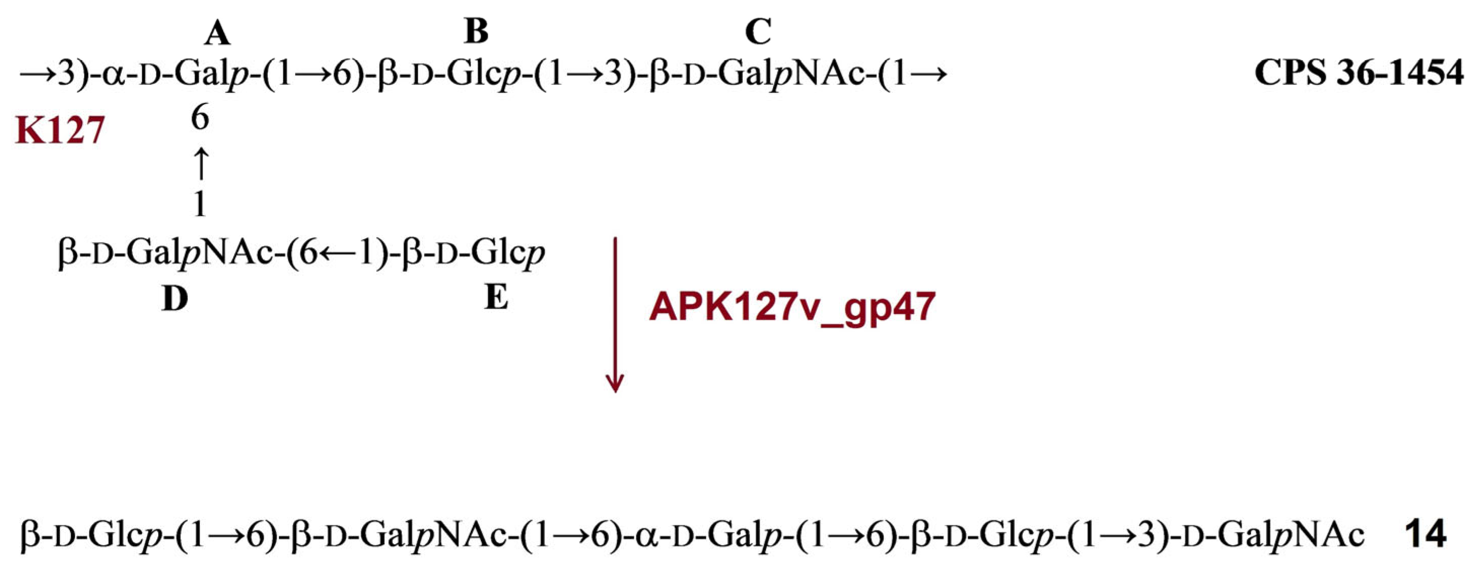 Ijms 24 09100 g009 Ijms 24 09100 g009