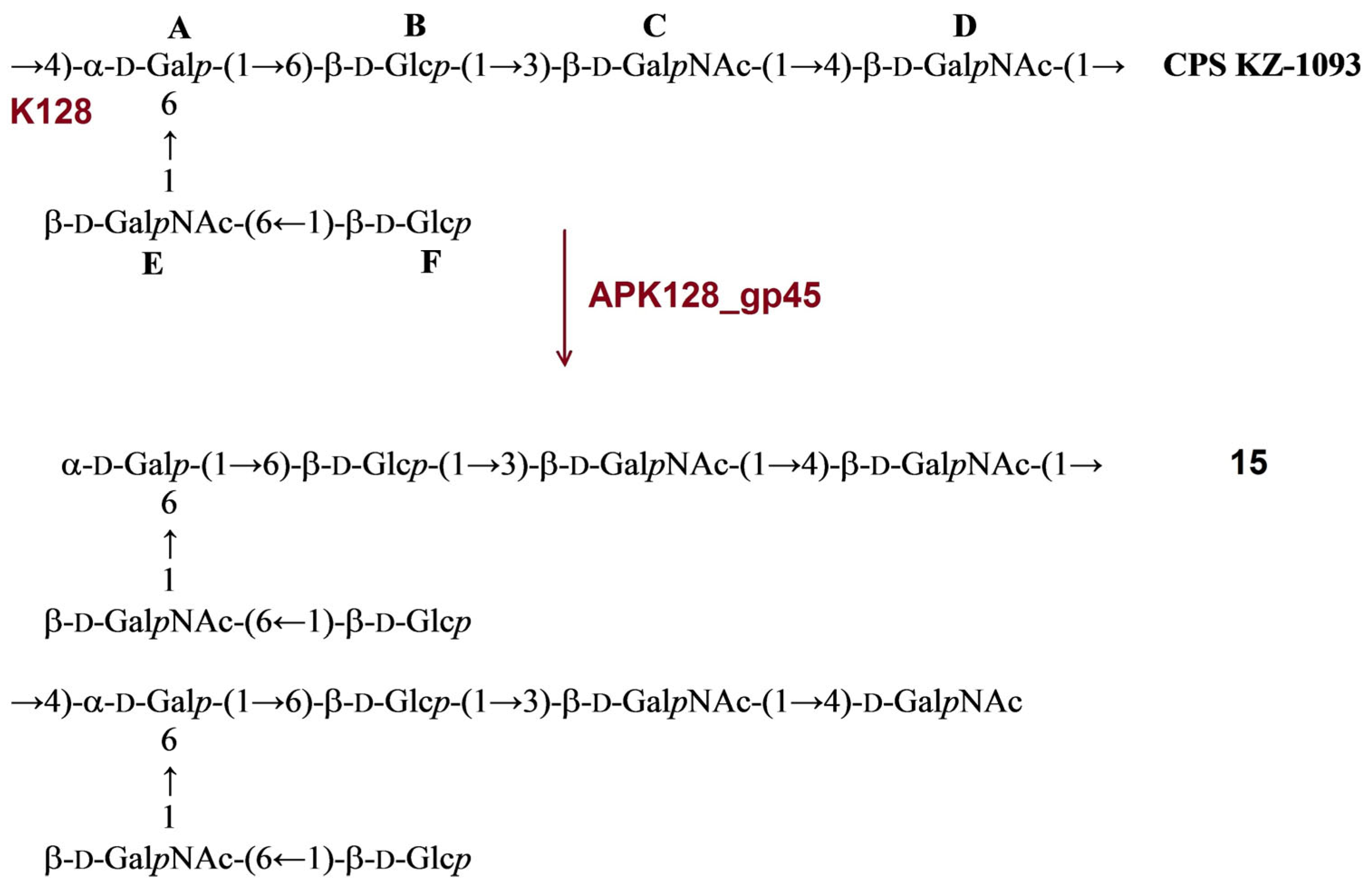Ijms 24 09100 g010 Ijms 24 09100 g010