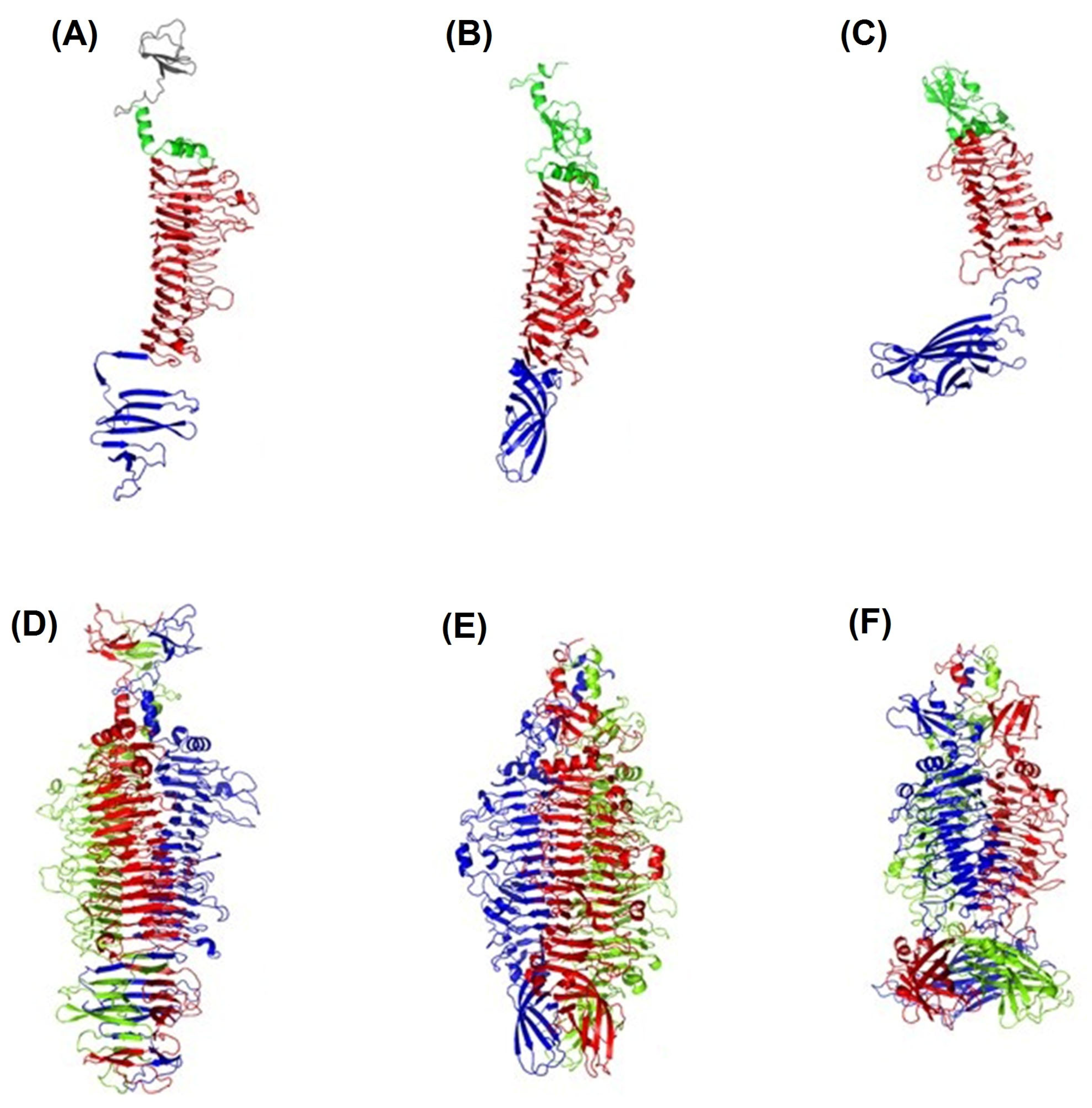Ijms 24 09100 g011 Ijms 24 09100 g011