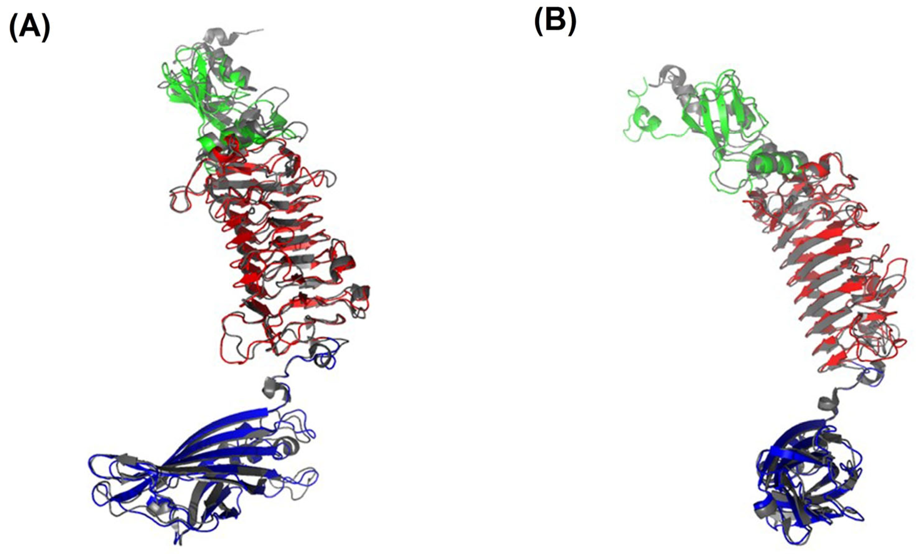 Ijms 24 09100 g012 Ijms 24 09100 g012
