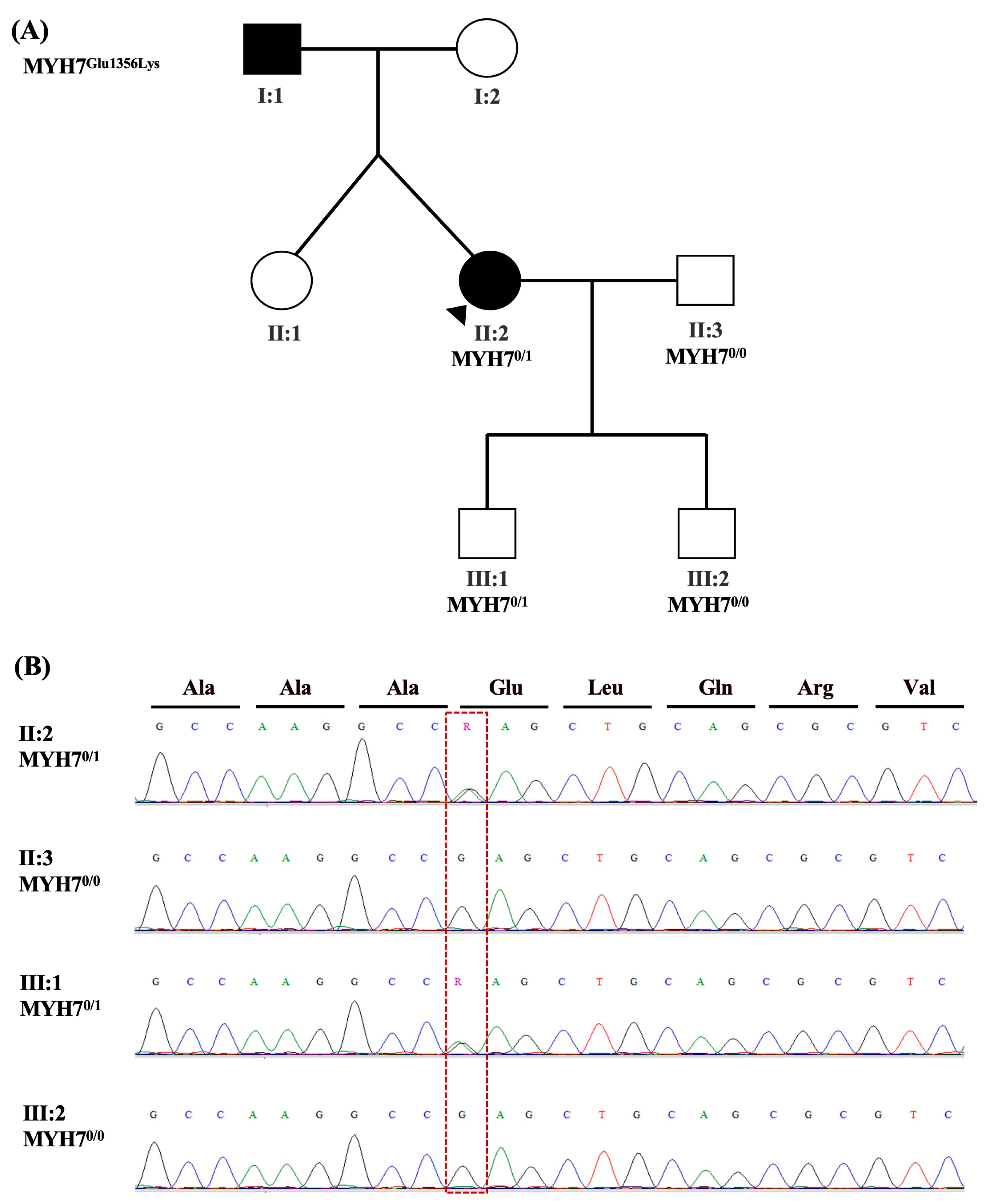 Ijms 24 09119 g002 Ijms 24 09119 g002