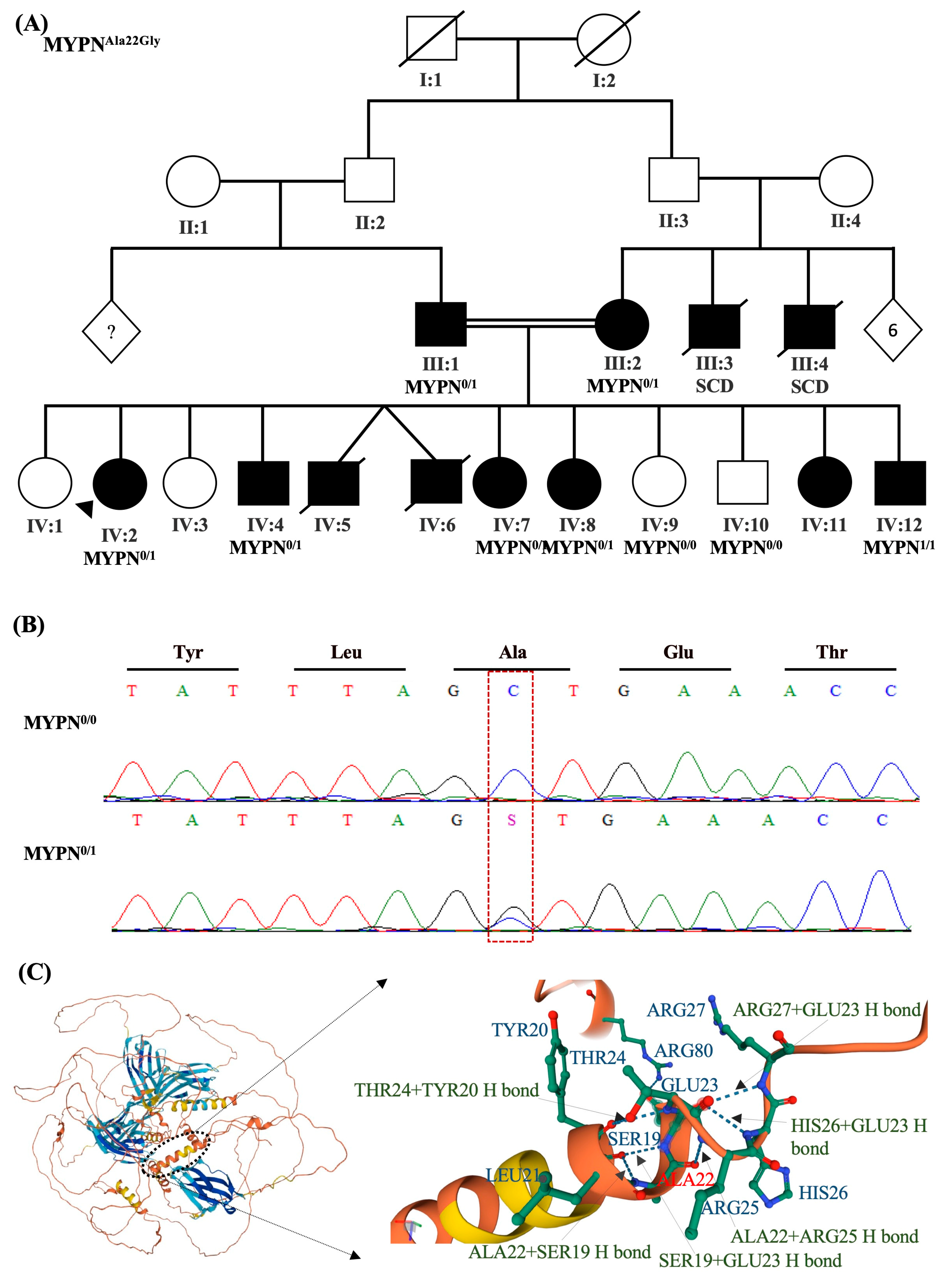 Ijms 24 09119 g003 Ijms 24 09119 g003