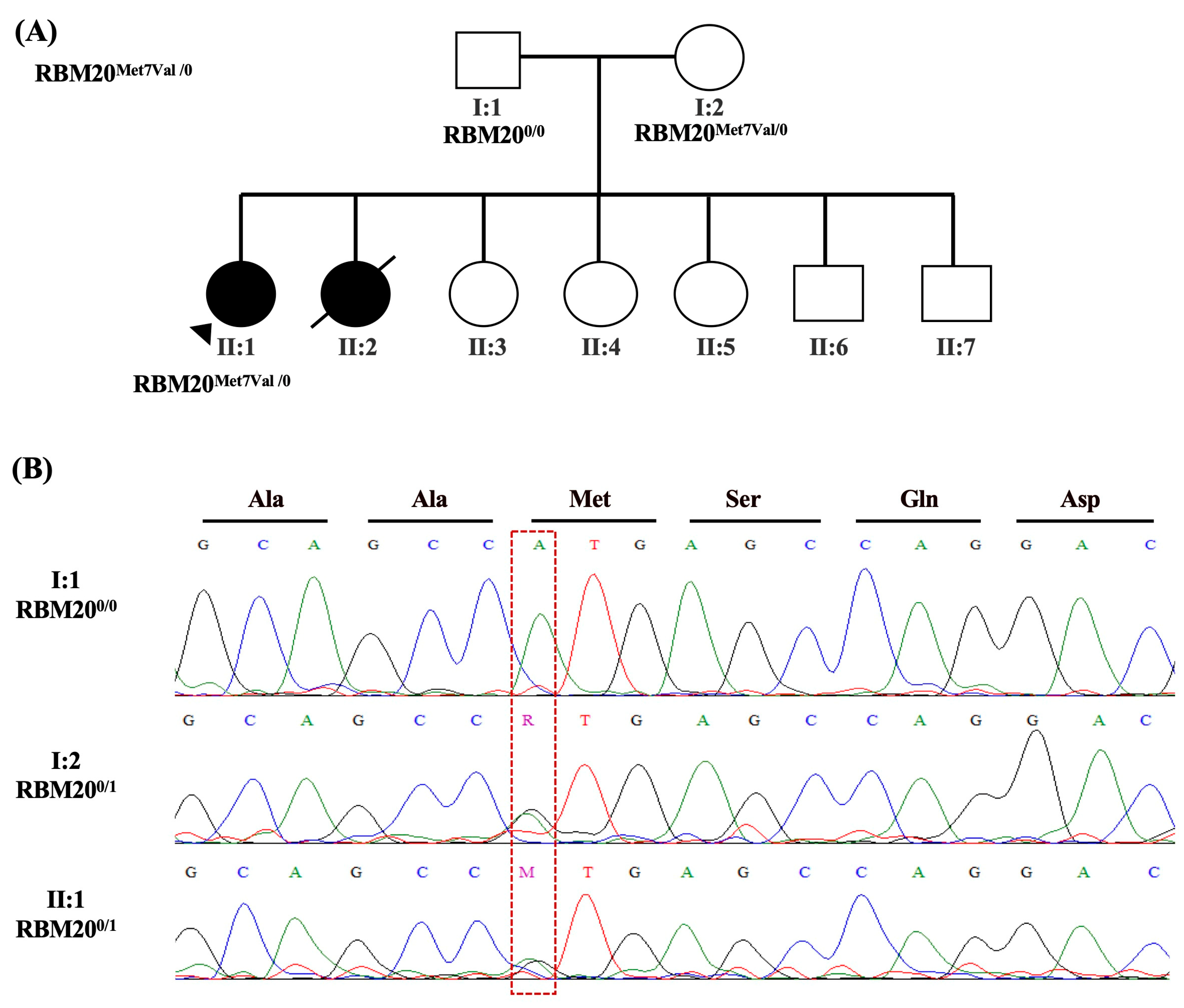 Ijms 24 09119 g004 Ijms 24 09119 g004