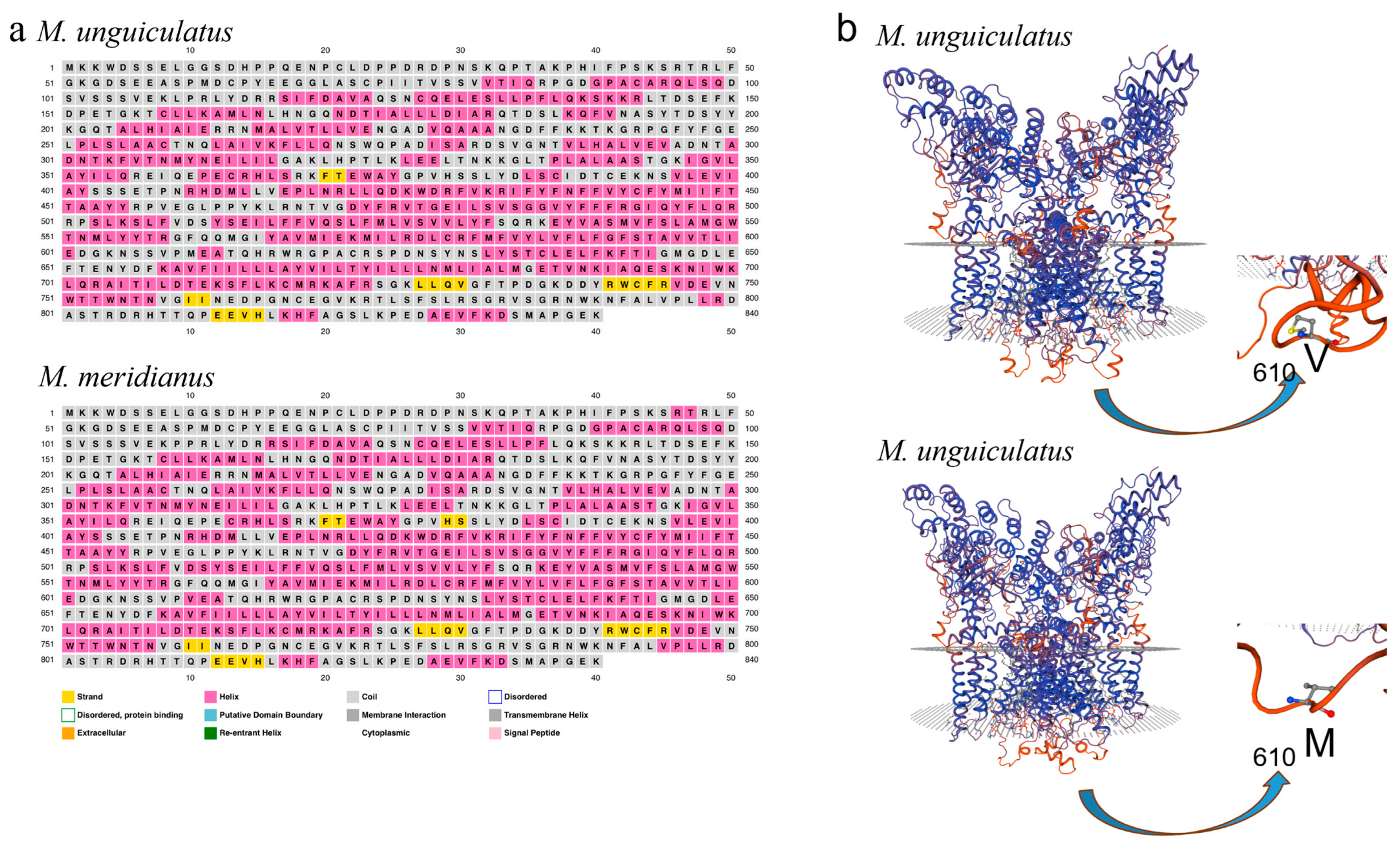 IJMS | Free Full-Text | Genetic Diversity of a Heat Activated 