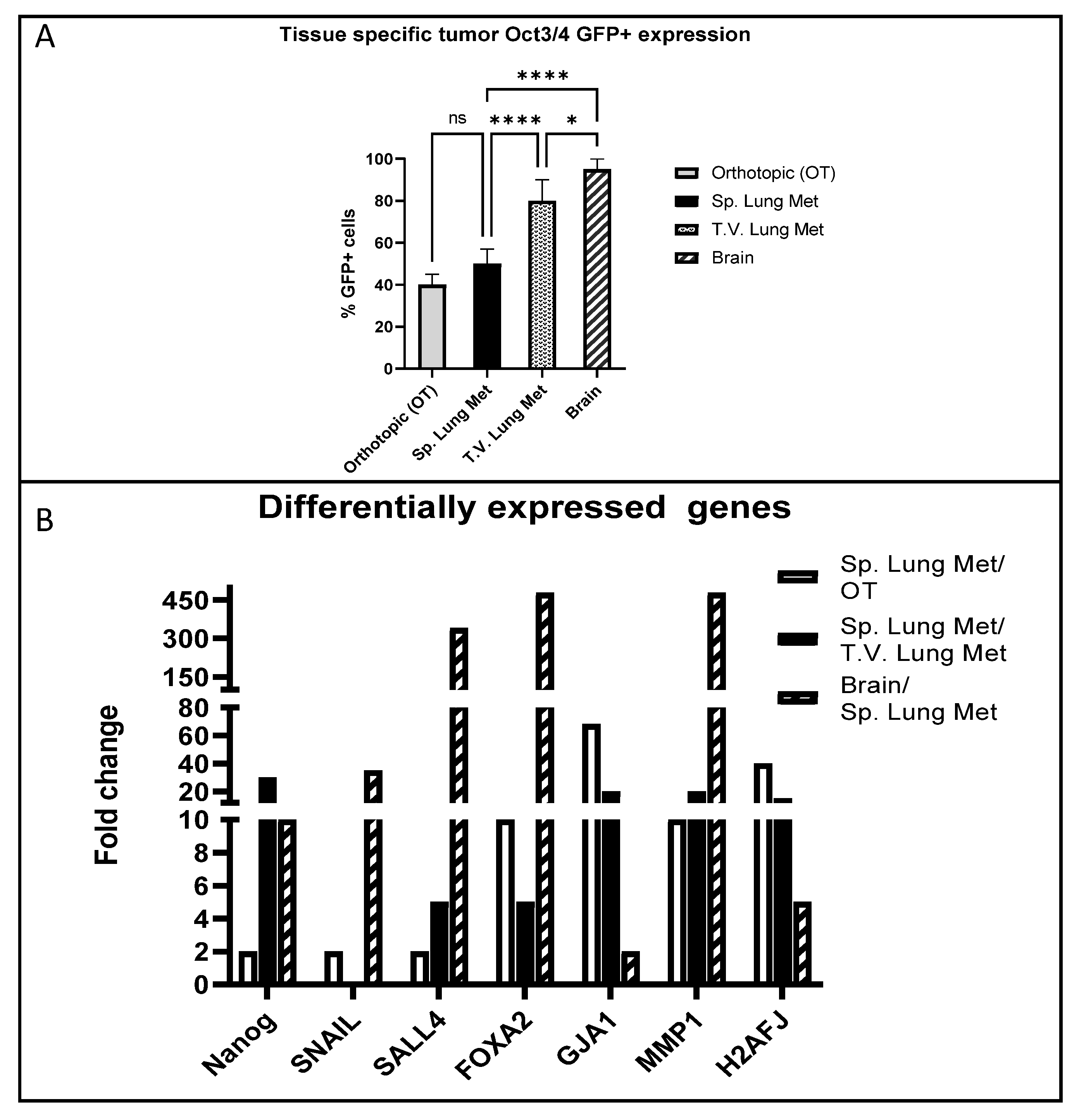 Ijms 24 09142 g004 Ijms 24 09142 g004