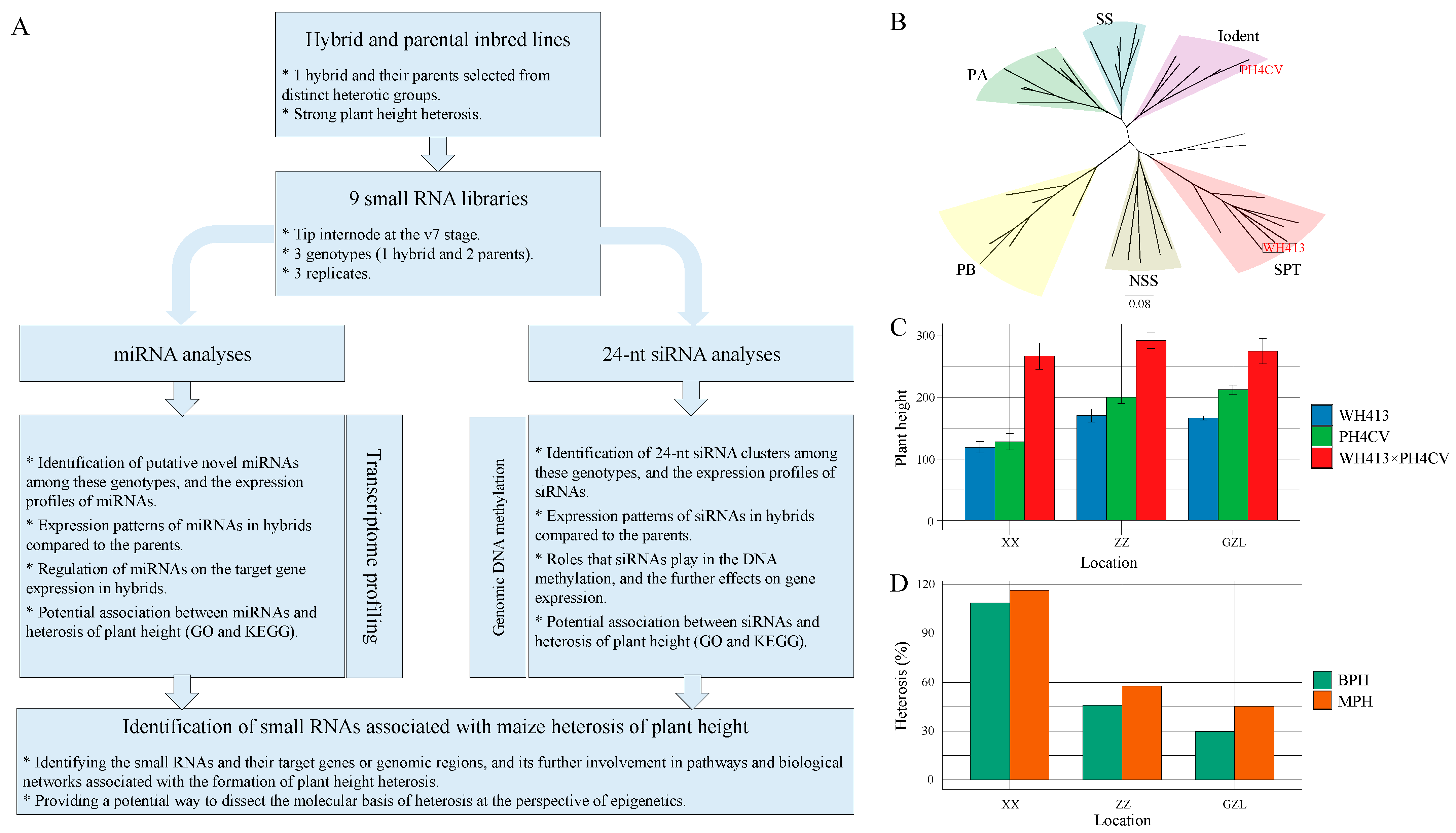Ijms 24 09150 g001 Ijms 24 09150 g001