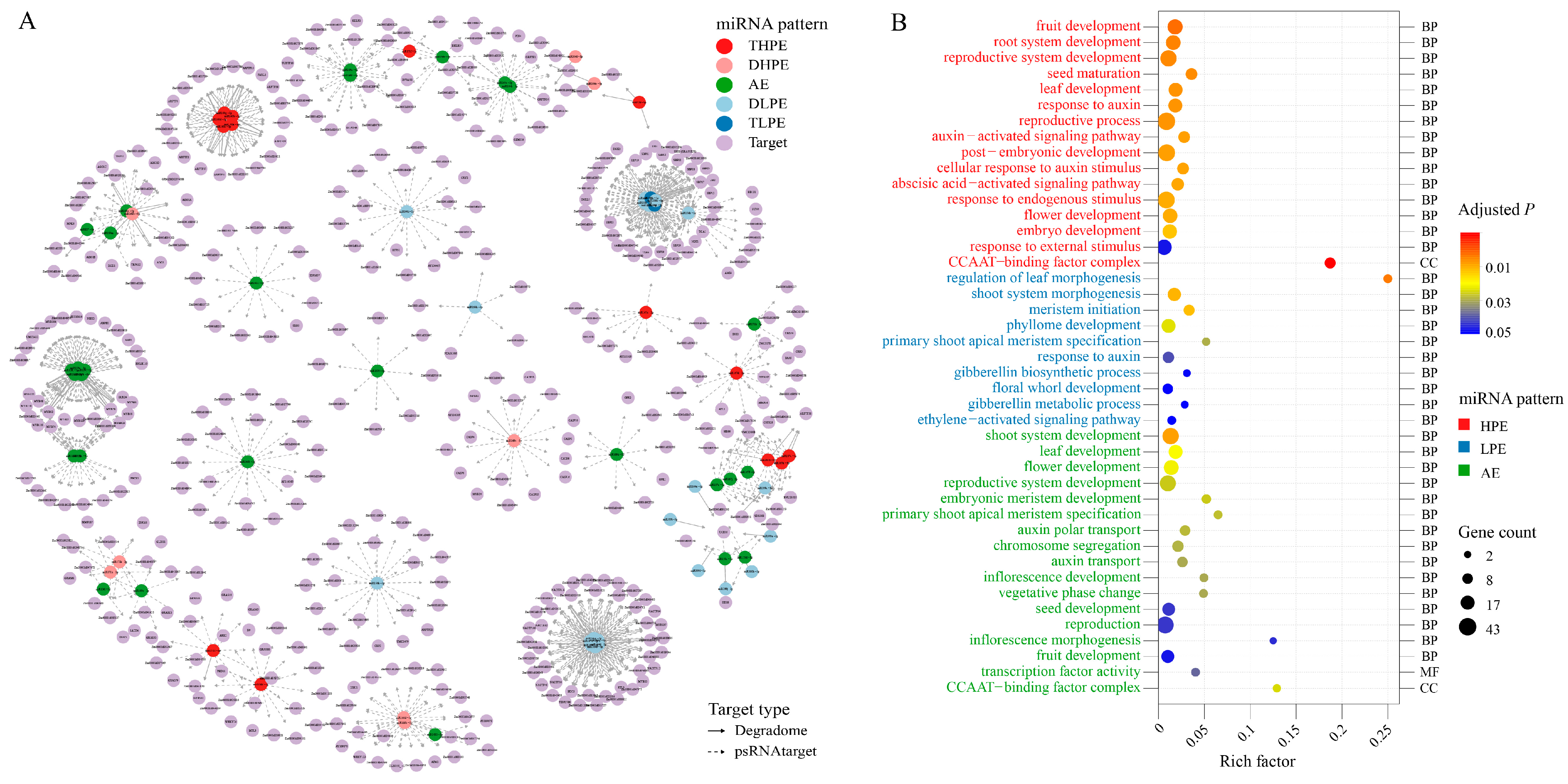 Ijms 24 09150 g003 Ijms 24 09150 g003