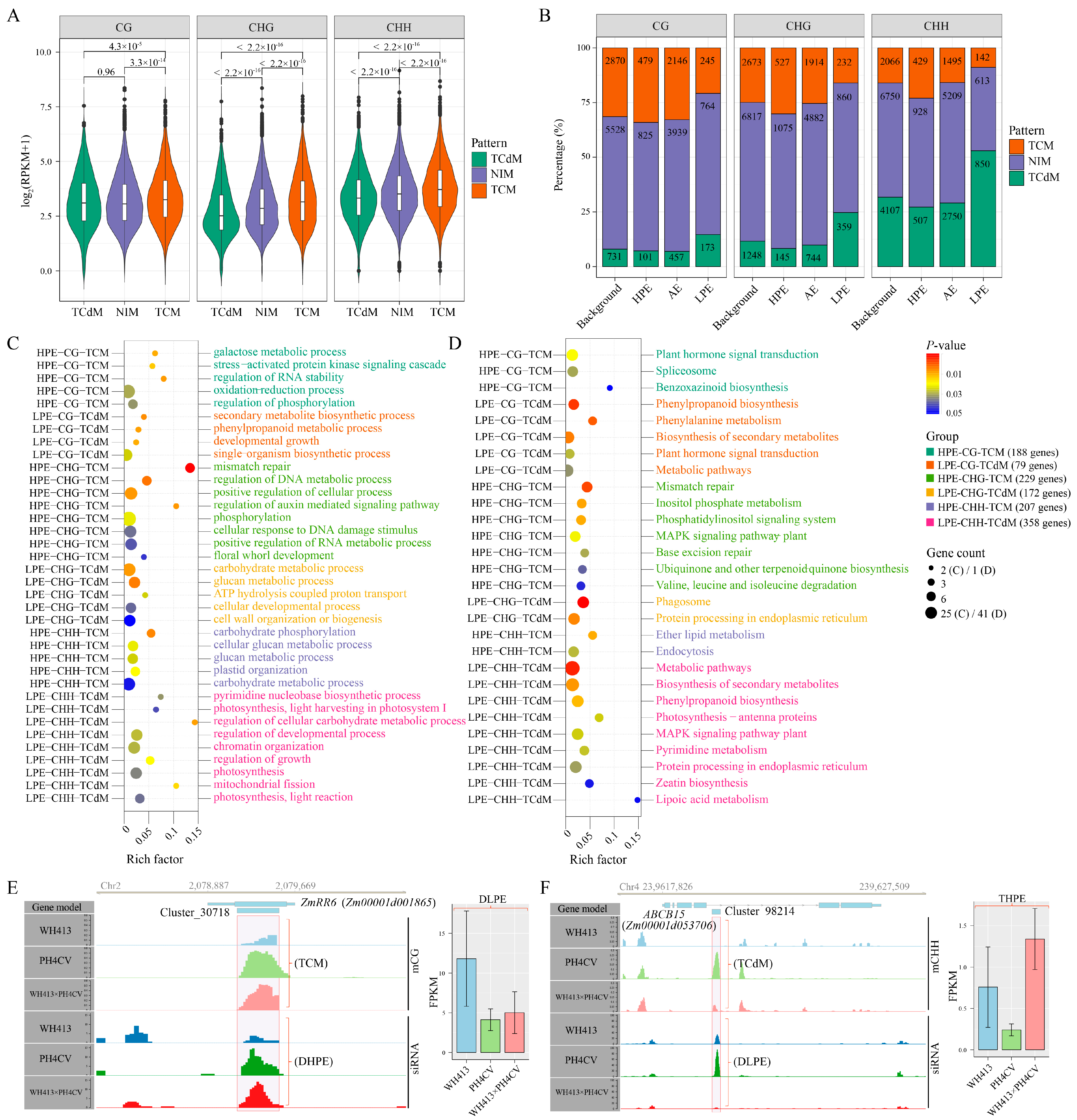 Ijms 24 09150 g005 Ijms 24 09150 g005