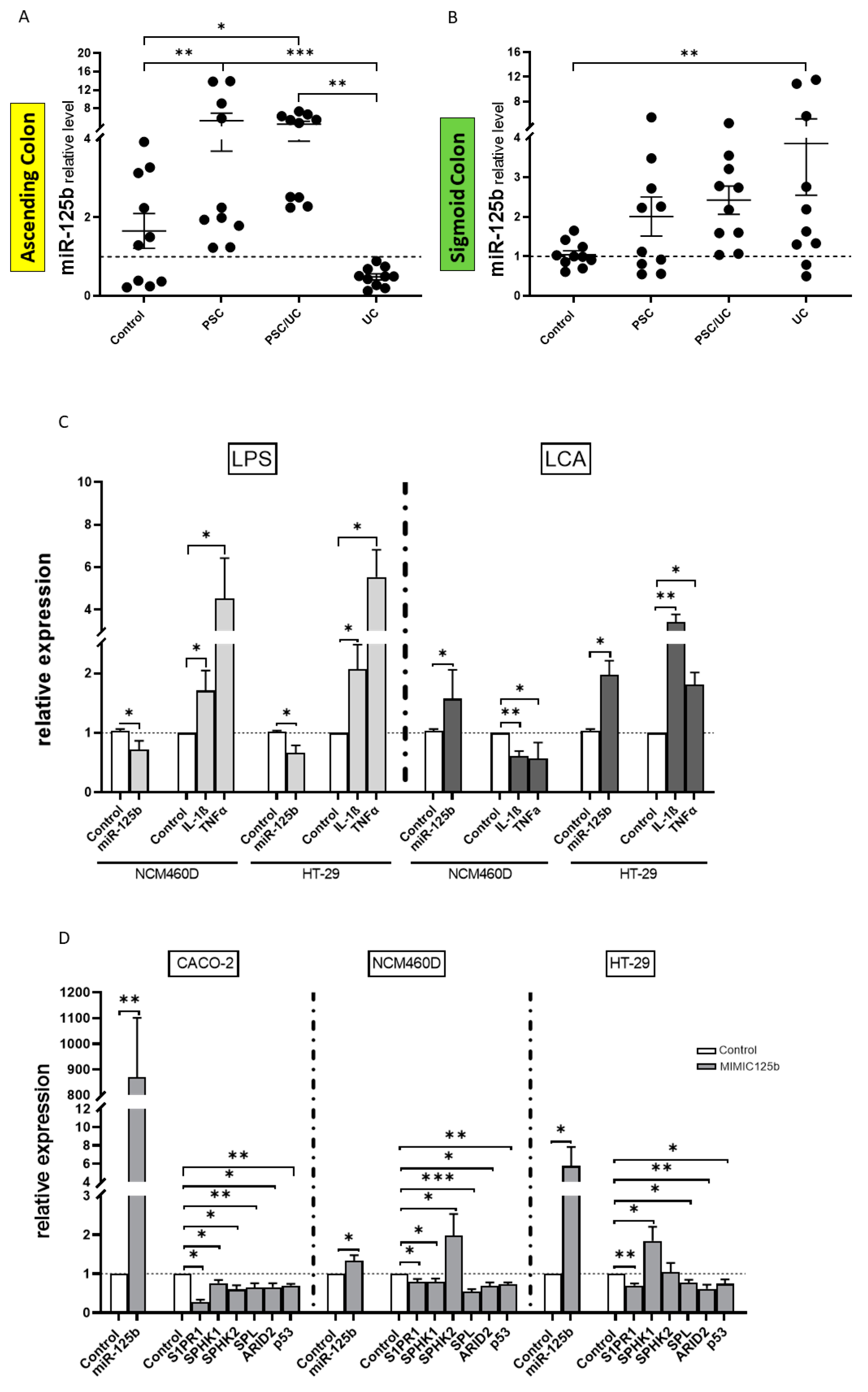 Ijms 24 09175 g001 Ijms 24 09175 g001