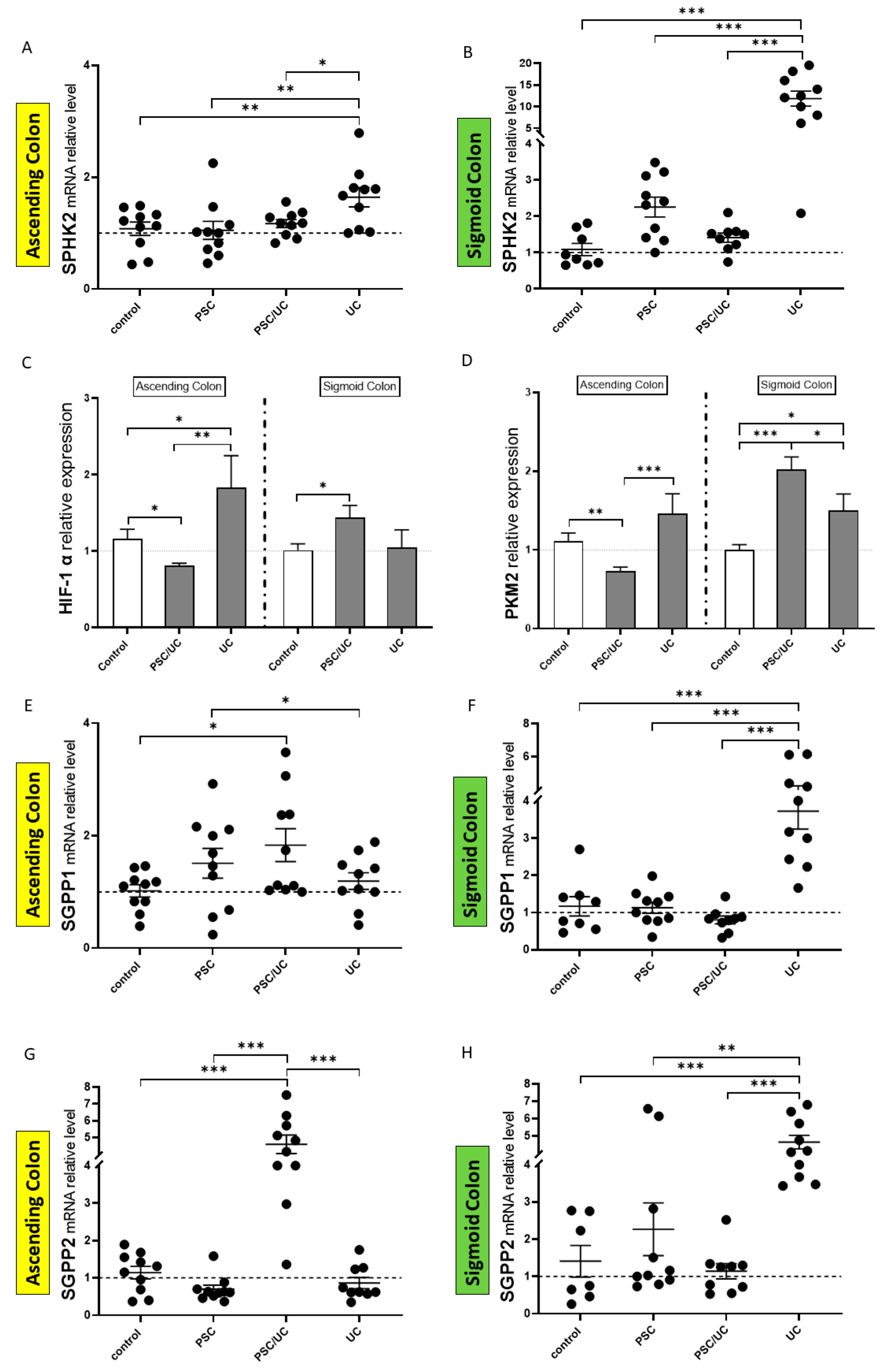Ijms 24 09175 g002 Ijms 24 09175 g002