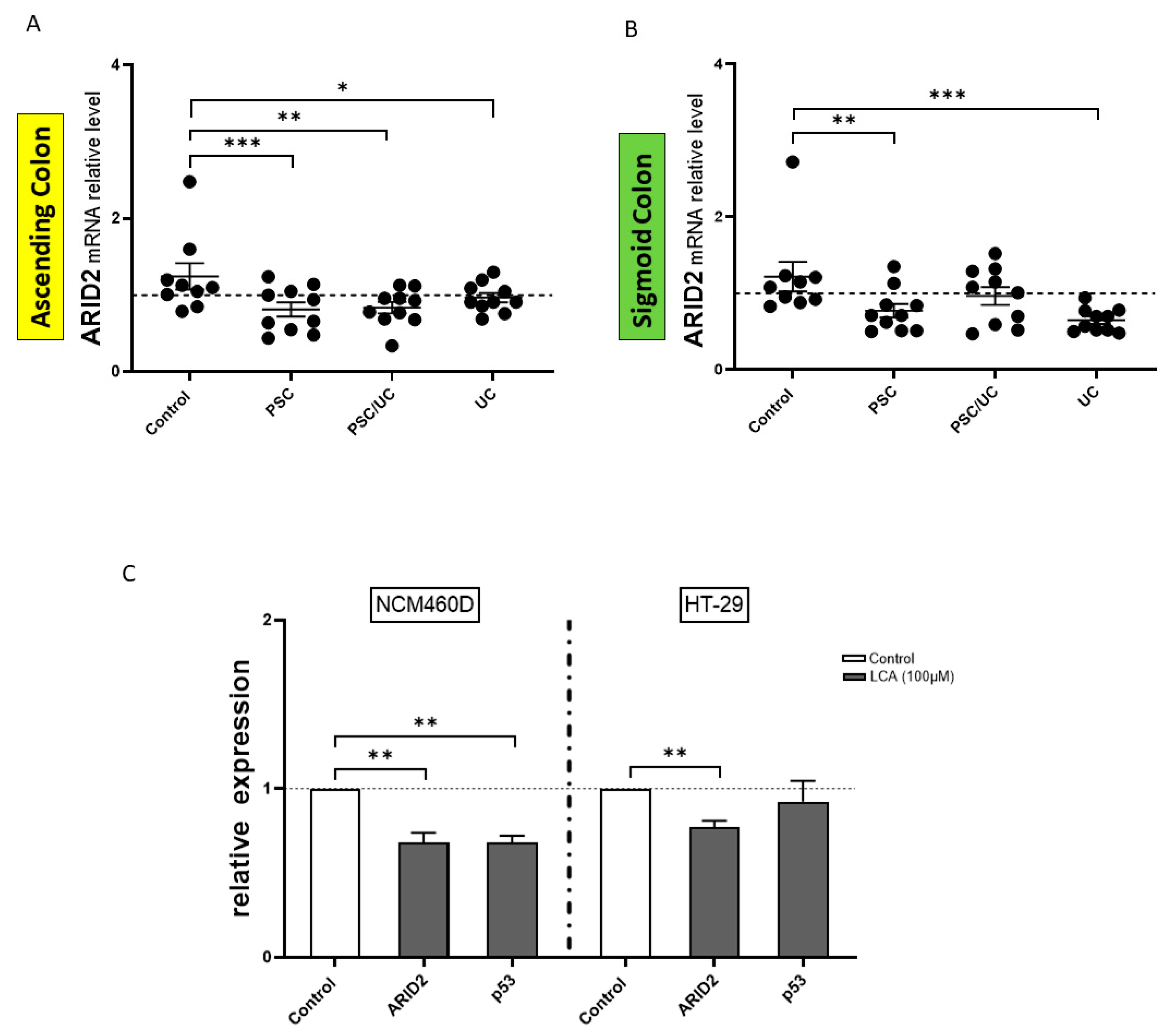 Ijms 24 09175 g005 Ijms 24 09175 g005