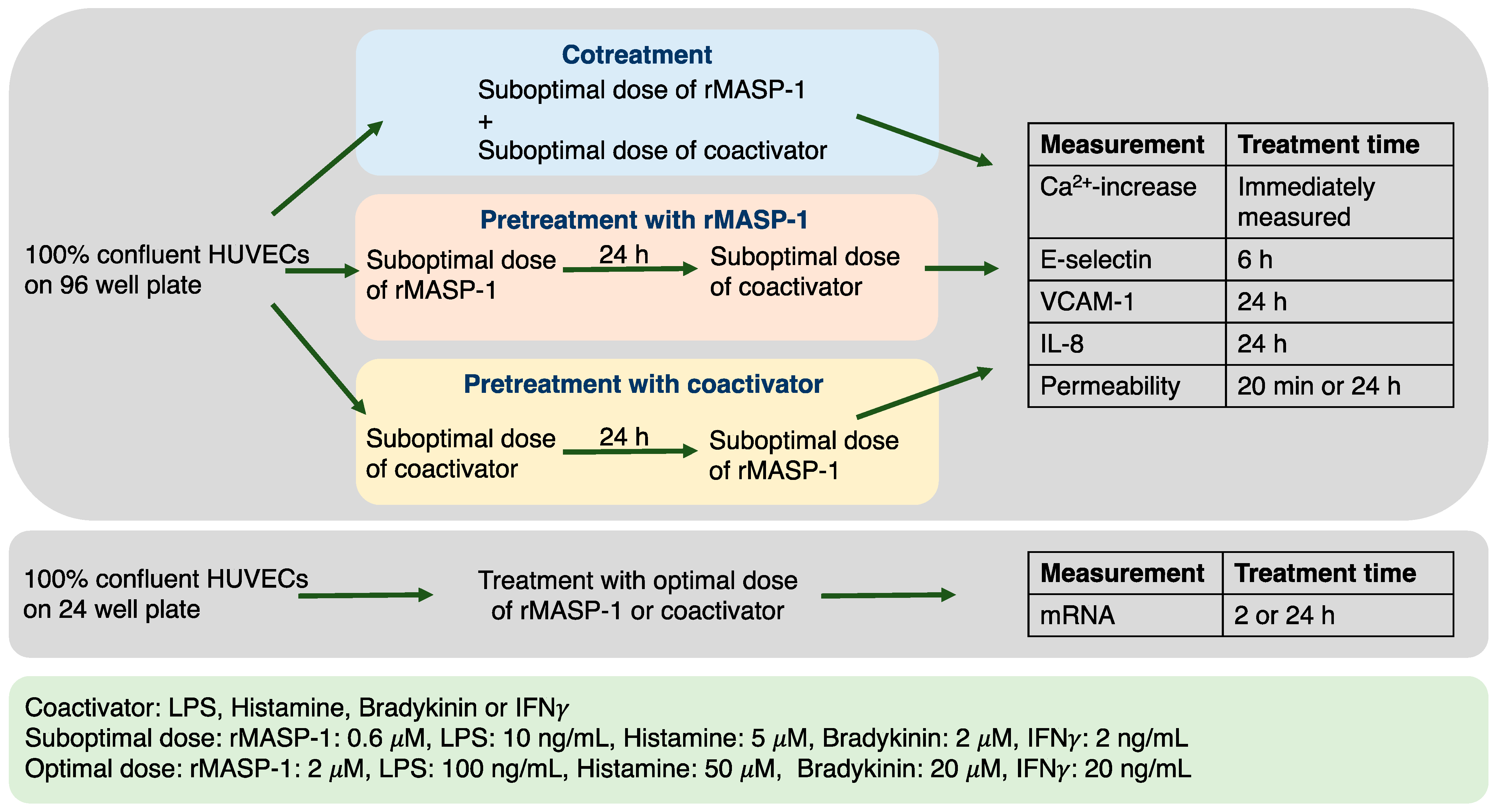 Ijms 24 09181 g001 Ijms 24 09181 g001