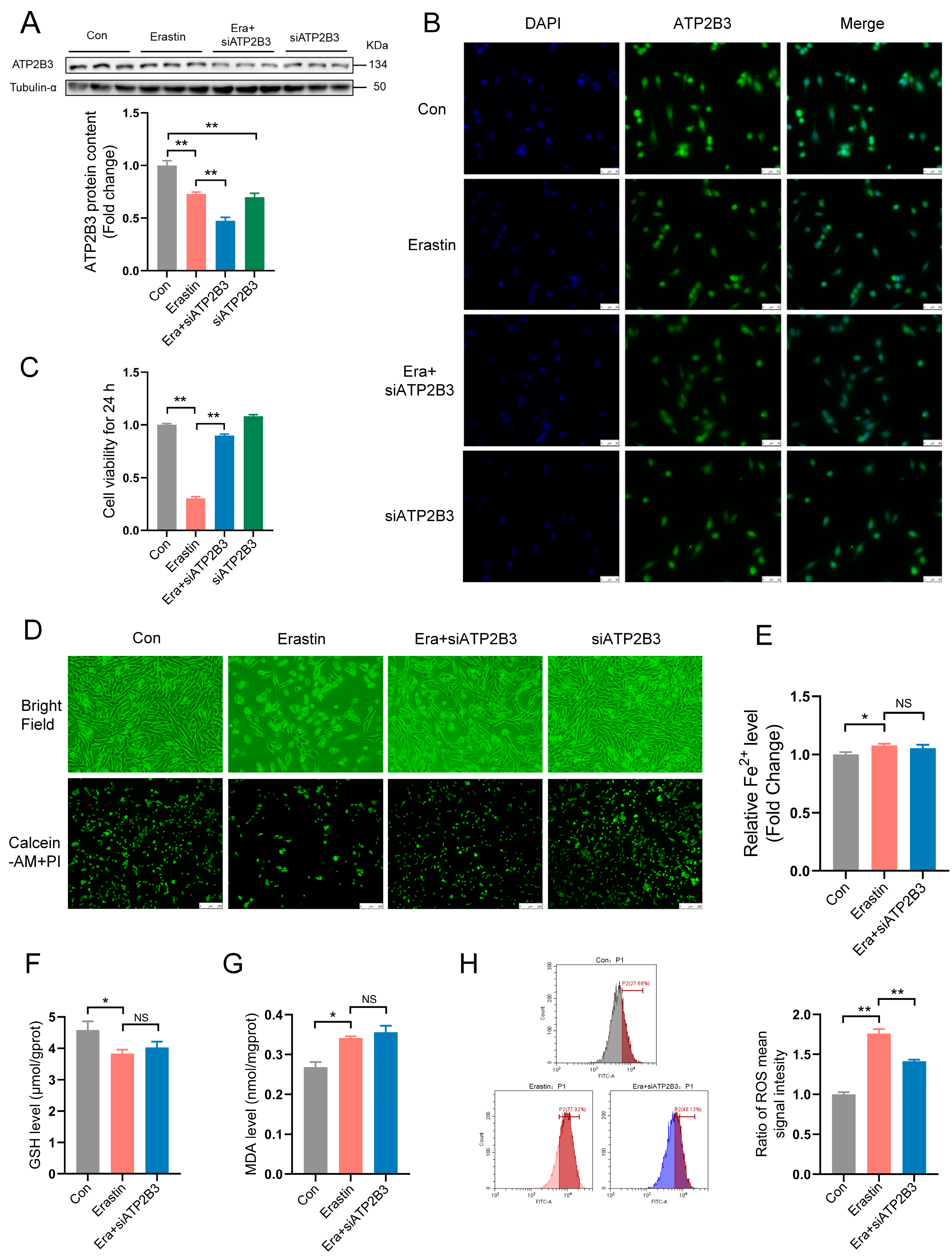 Ijms 24 09199 g002 Ijms 24 09199 g002