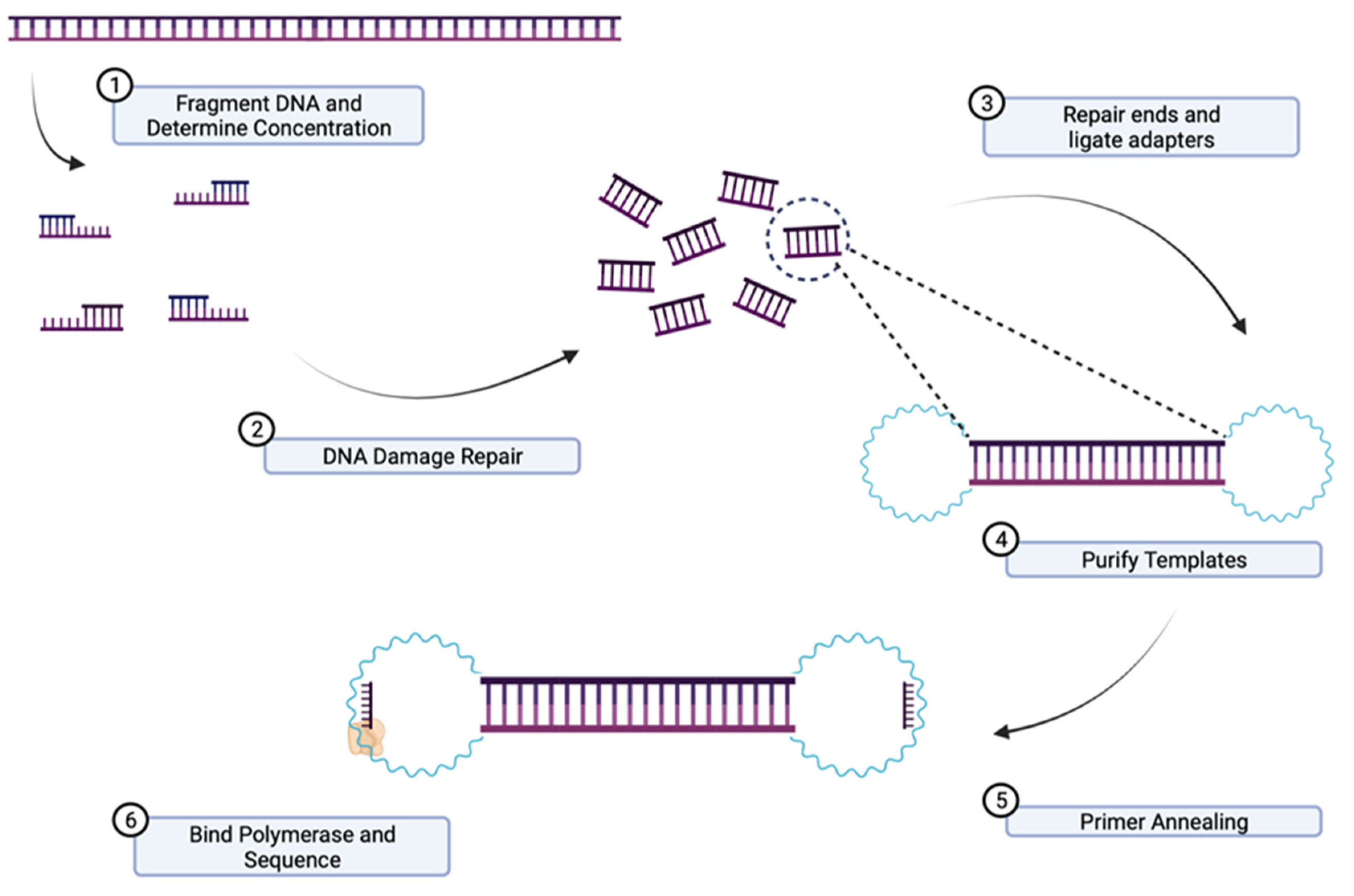 IJMS | Free Full-Text | Narrative Review: Update On The Molecular ...